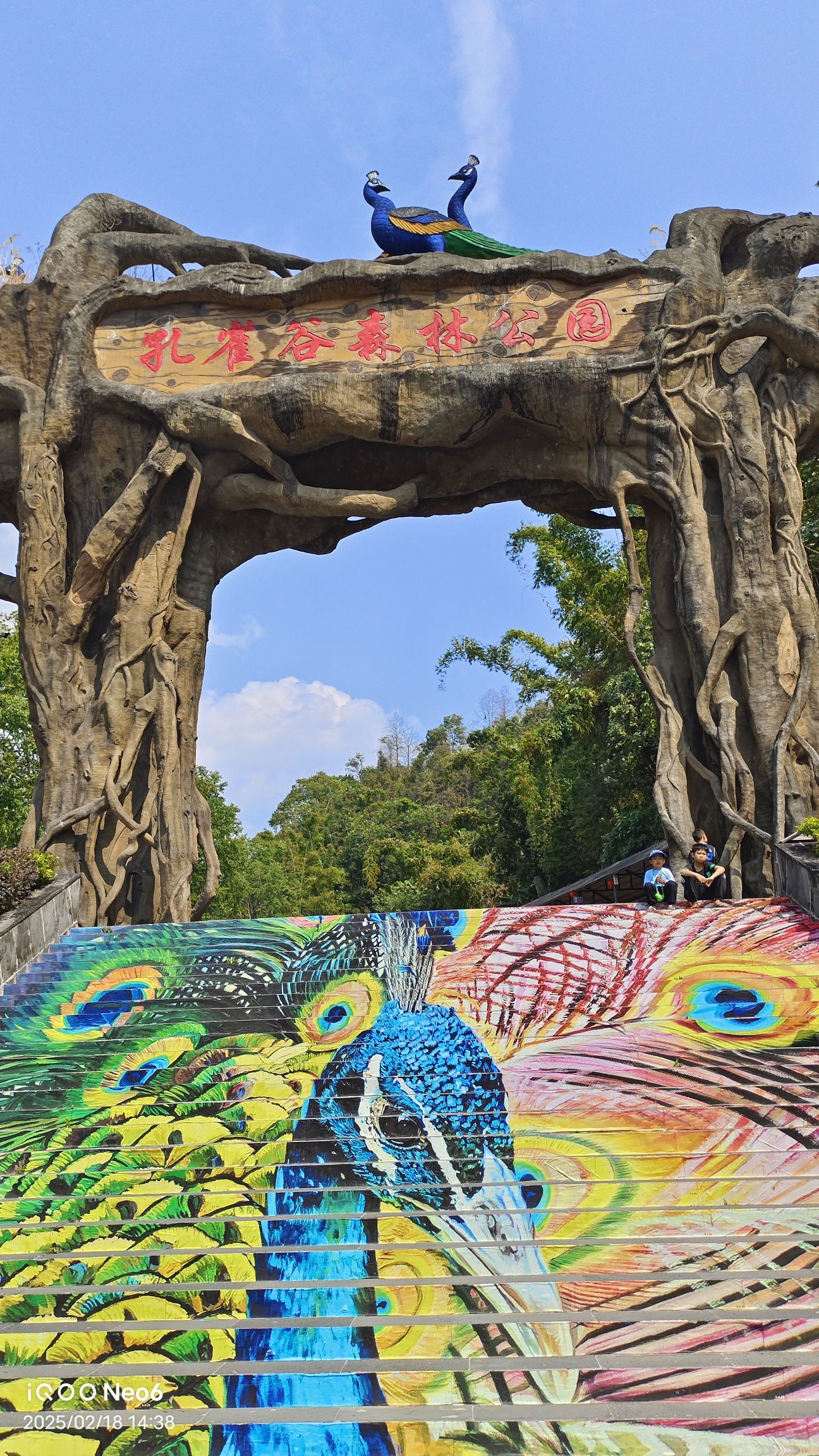 芒市孔雀谷森林公园
