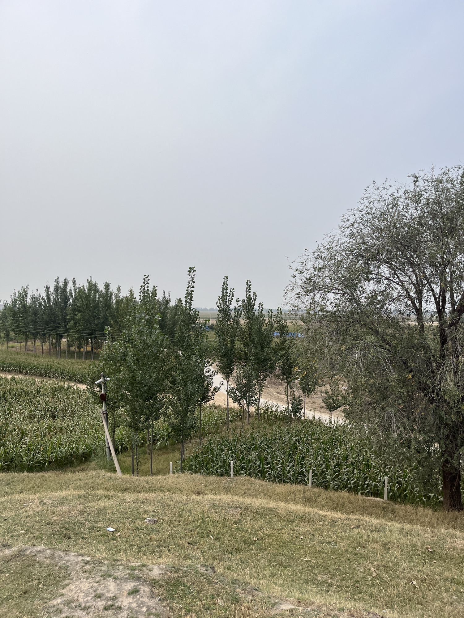 齐圪垯汉墓旅行图片 2