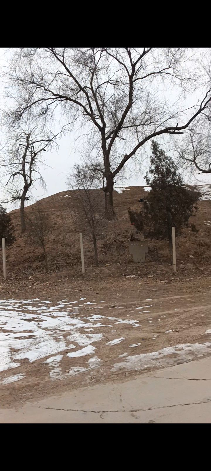 齐圪垯汉墓旅行图片 1