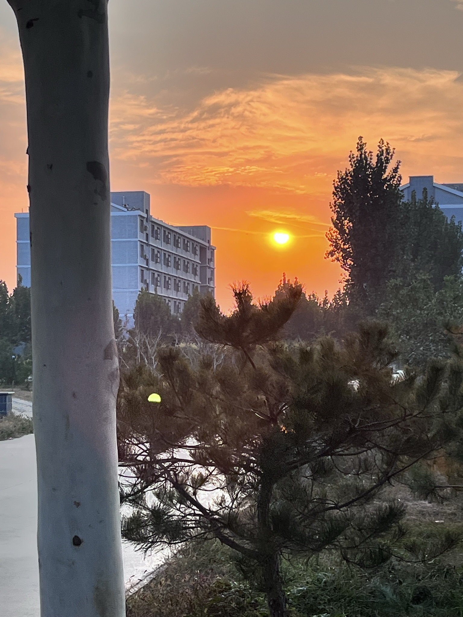 时代空港运动公园旅行图片 1