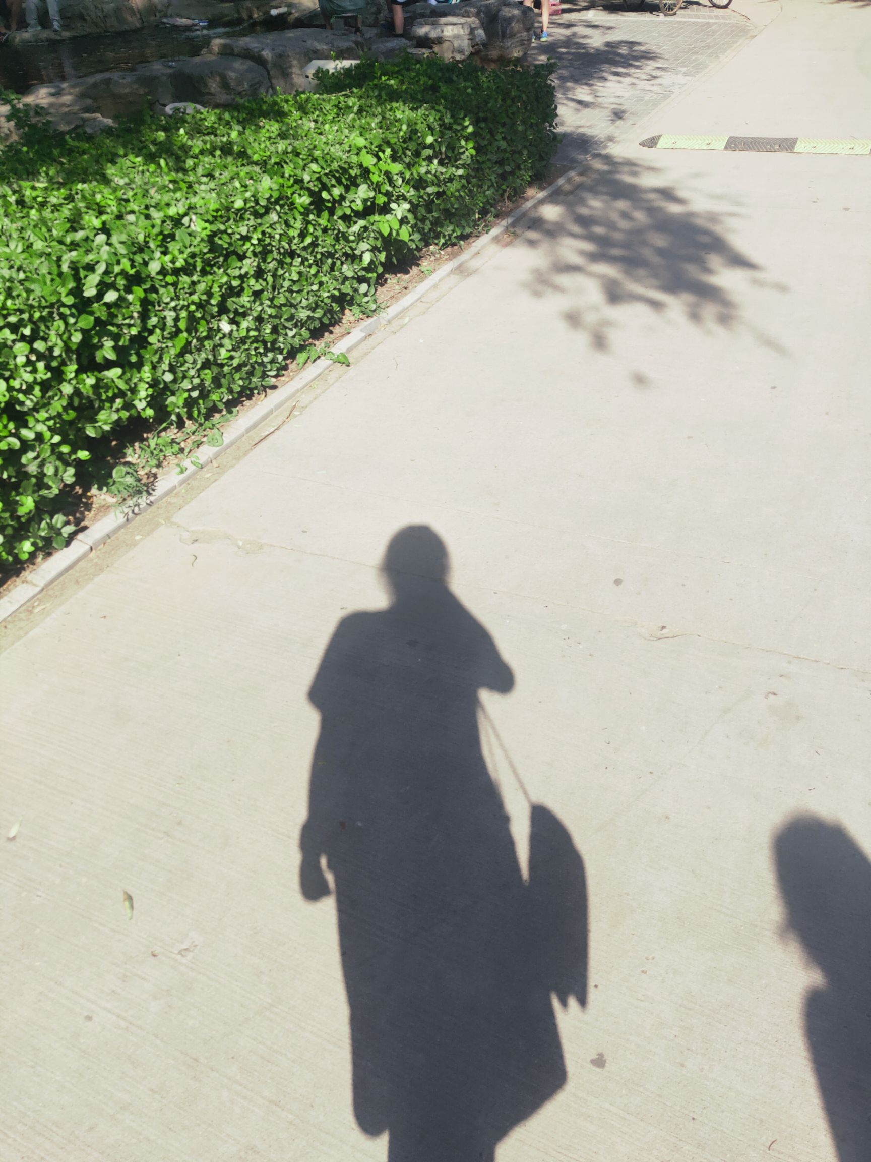 时代空港运动公园旅行图片 2