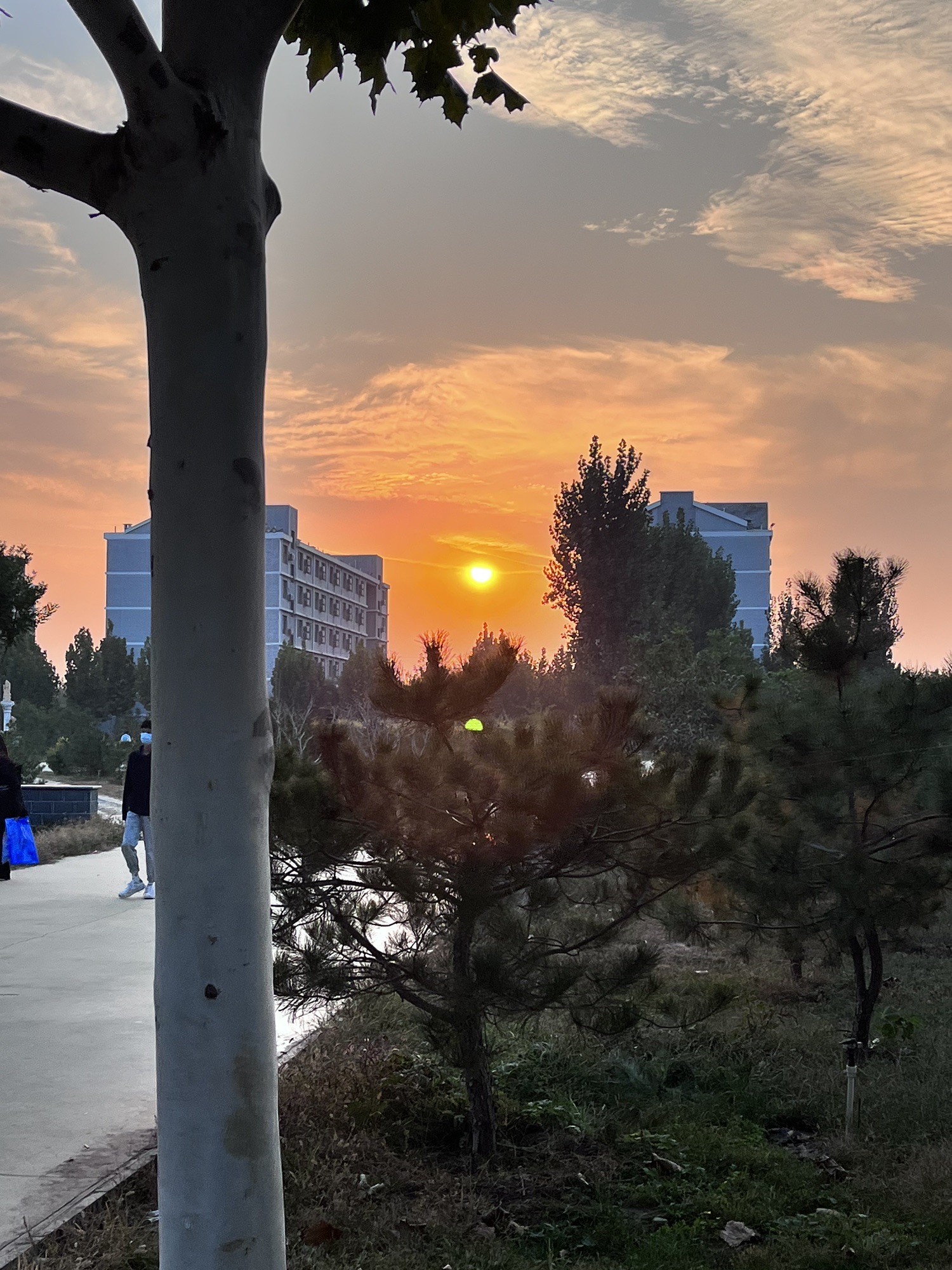 时代空港运动公园旅行图片 2