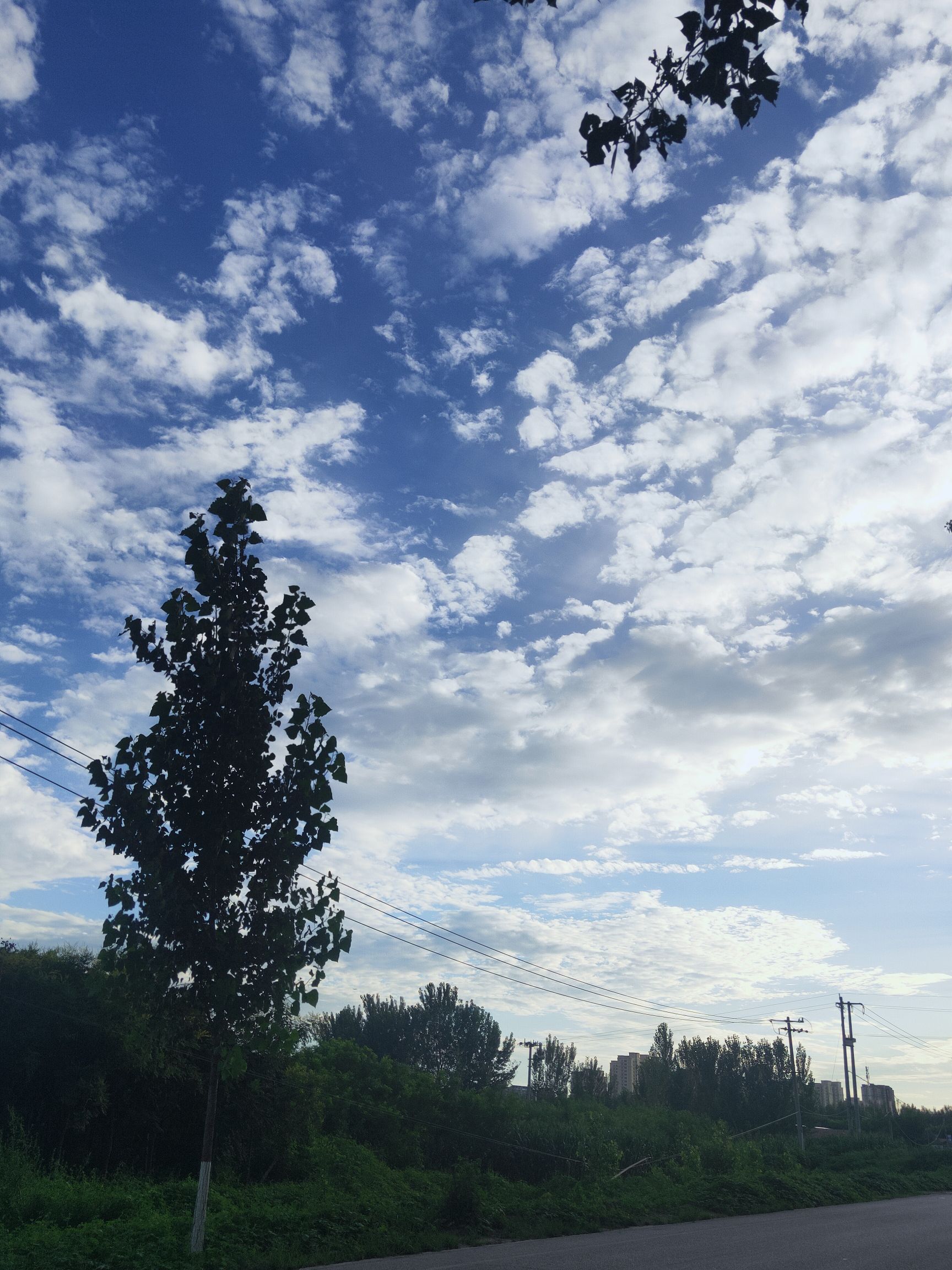 时代空港运动公园旅行图片 3