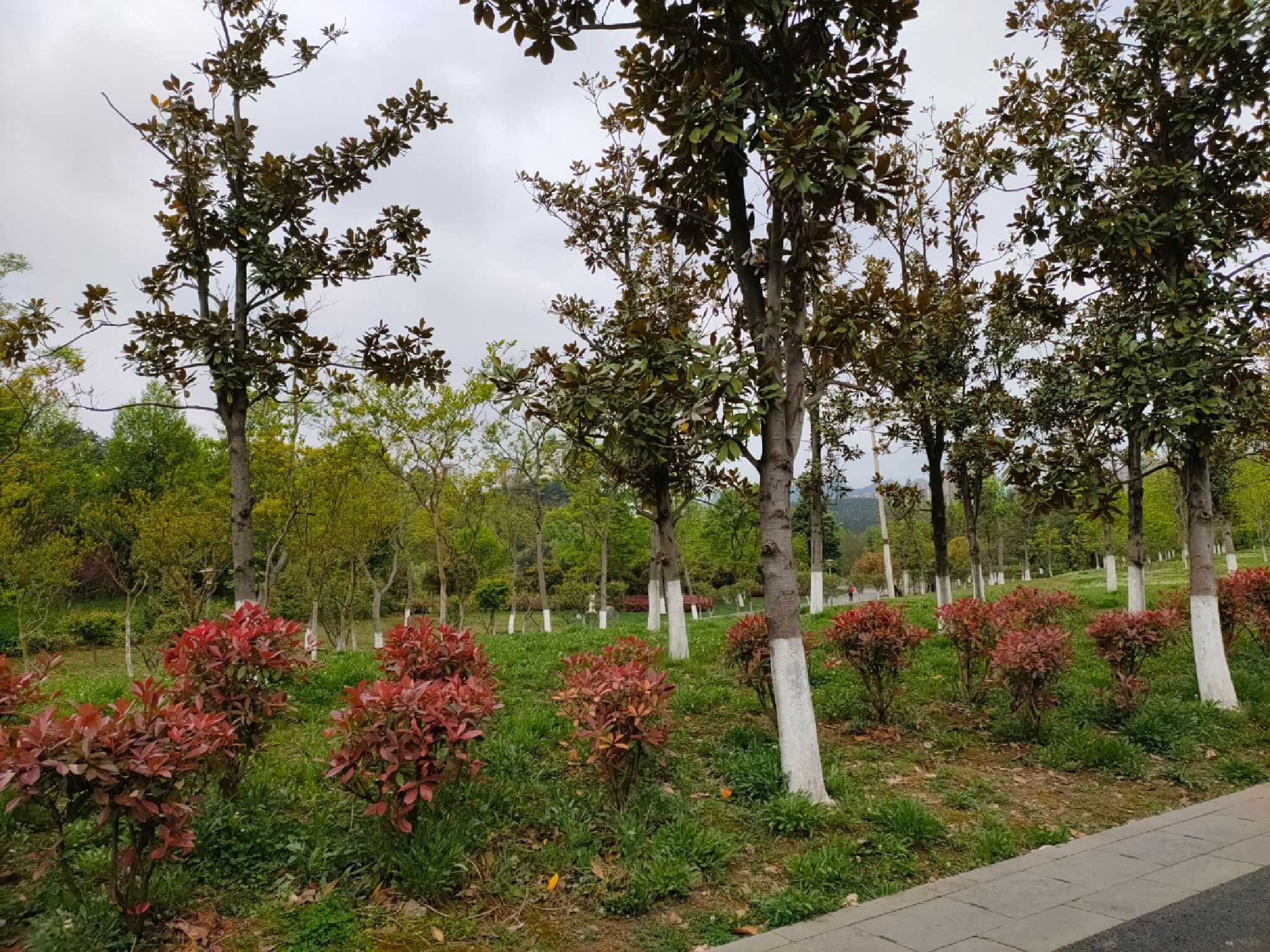 遵义市新蒲湿地公园东1门停车场
