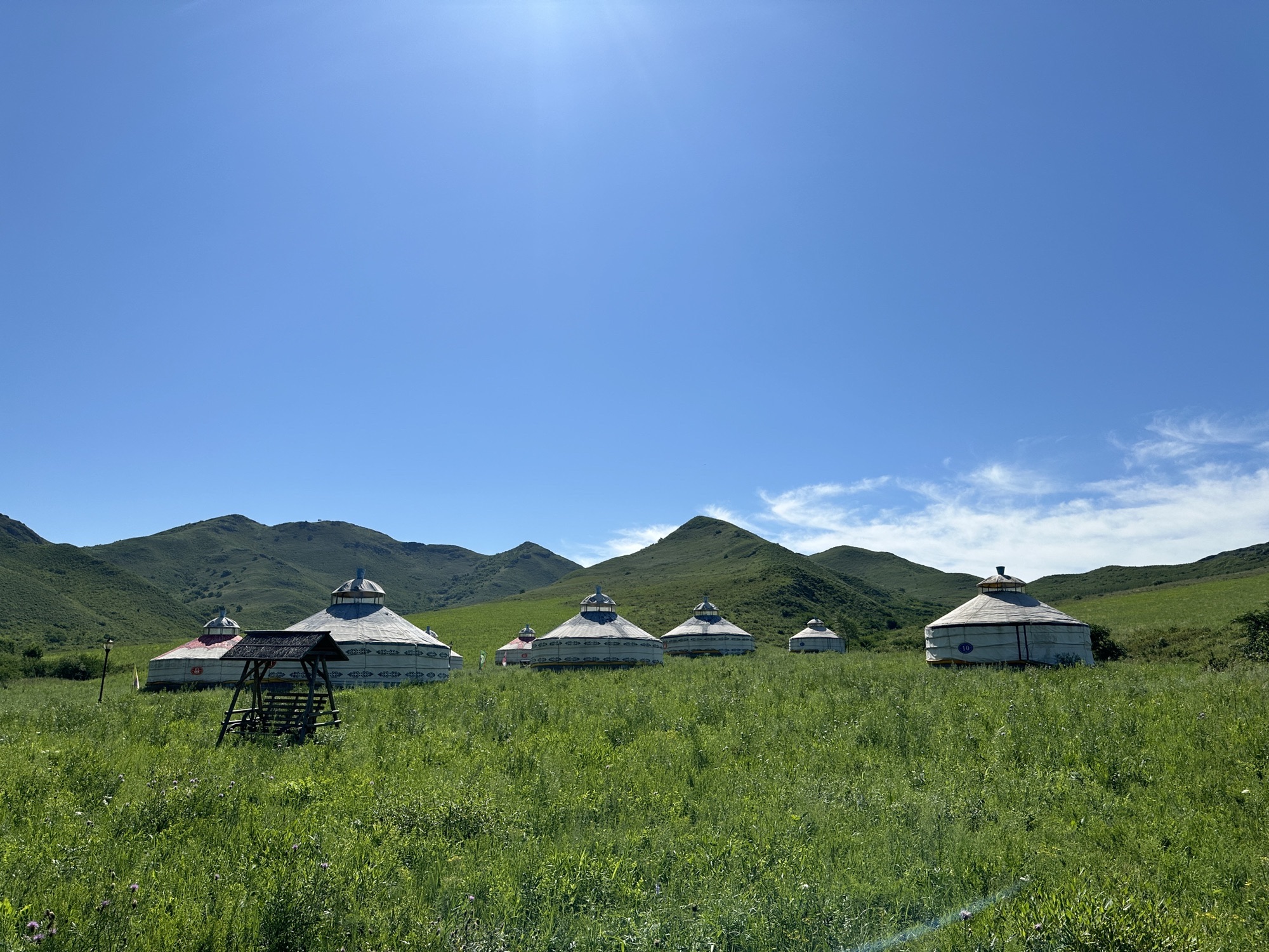 哲里木梦境草原旅行图片 1