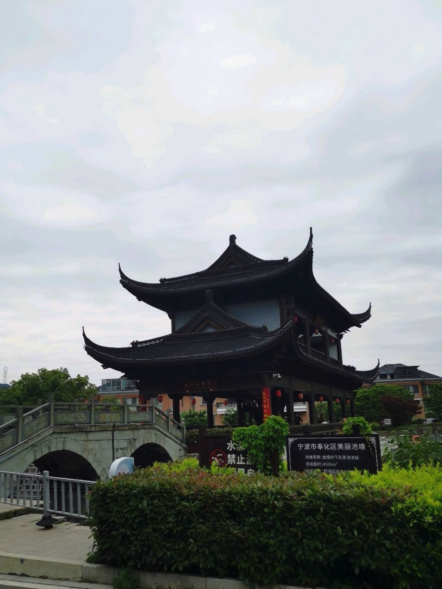 金峨山杜鹃林旅行图片 2