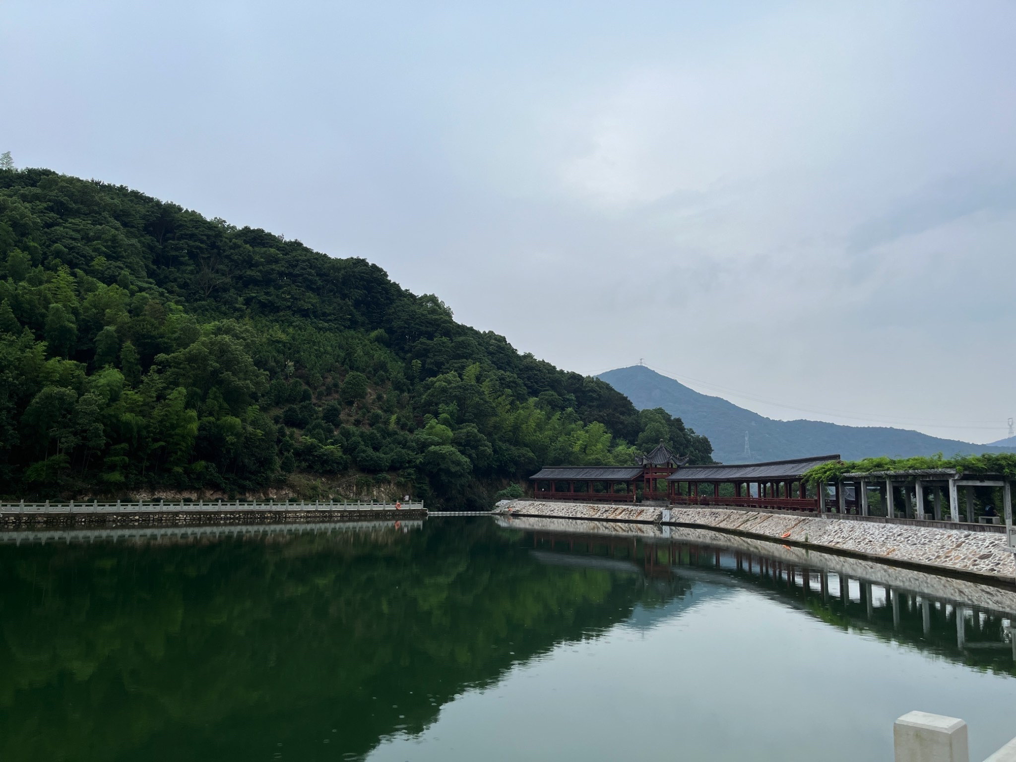 金峨山杜鹃林旅行图片 3