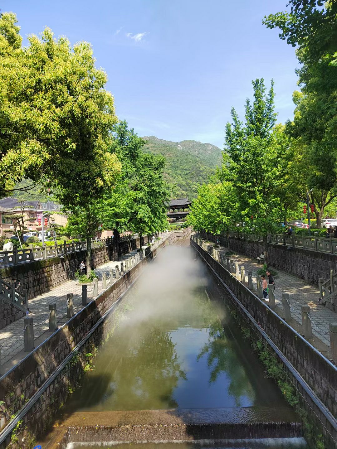 金峨山杜鹃林旅行图片 1