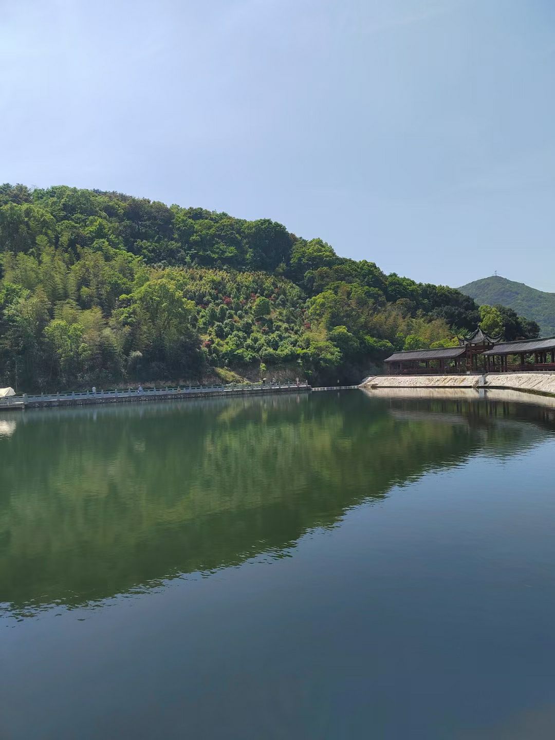 金峨山杜鹃林旅行图片 2