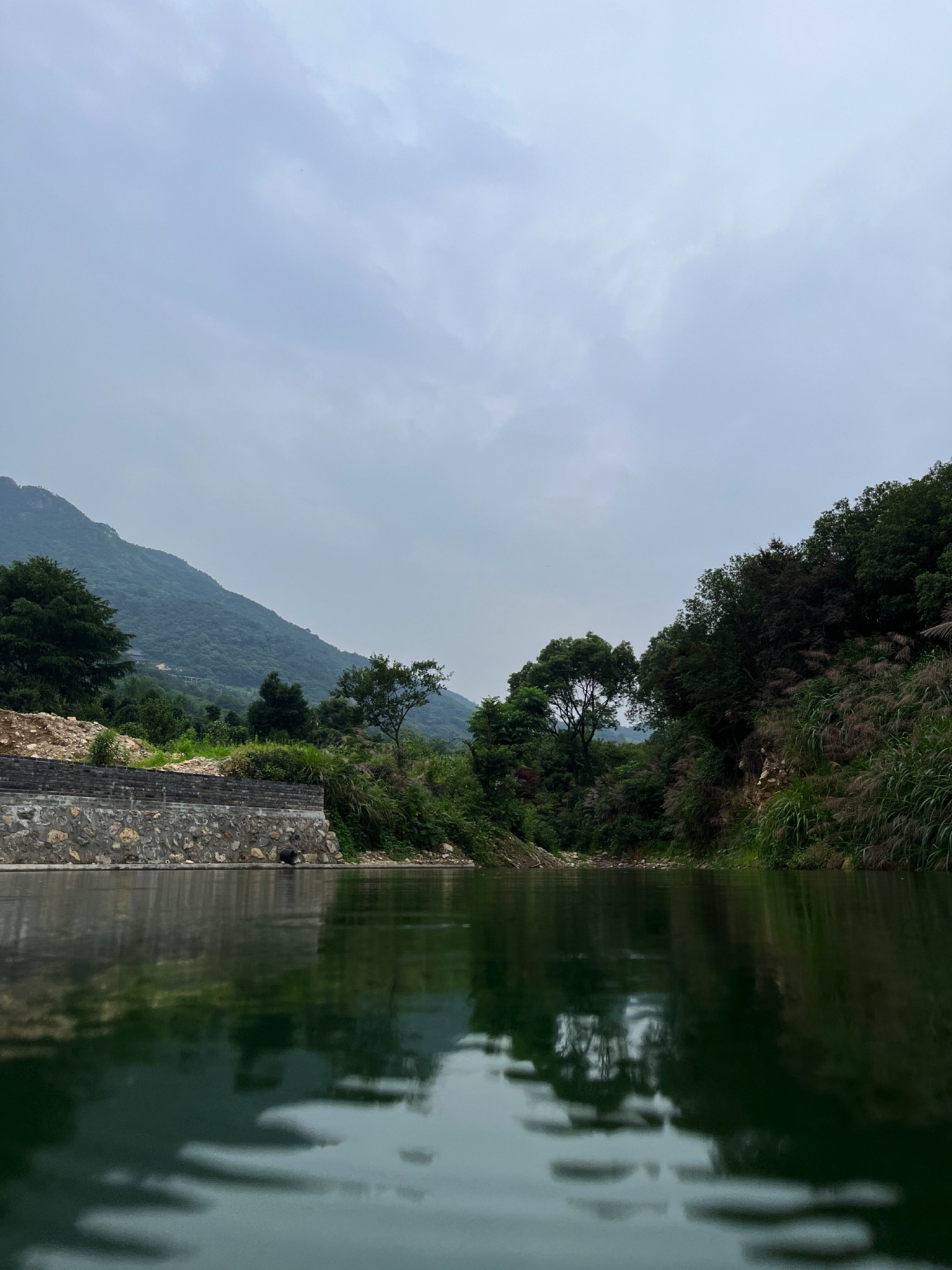 金峨山杜鹃林旅行图片 2