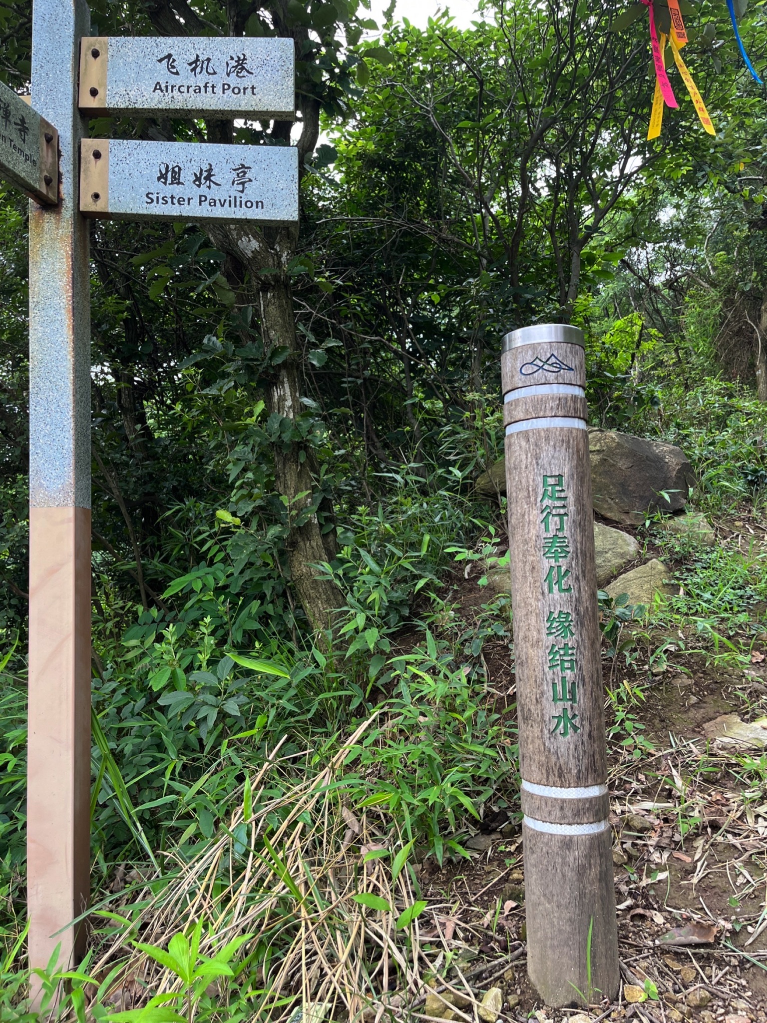 金峨山杜鹃林旅行图片 1