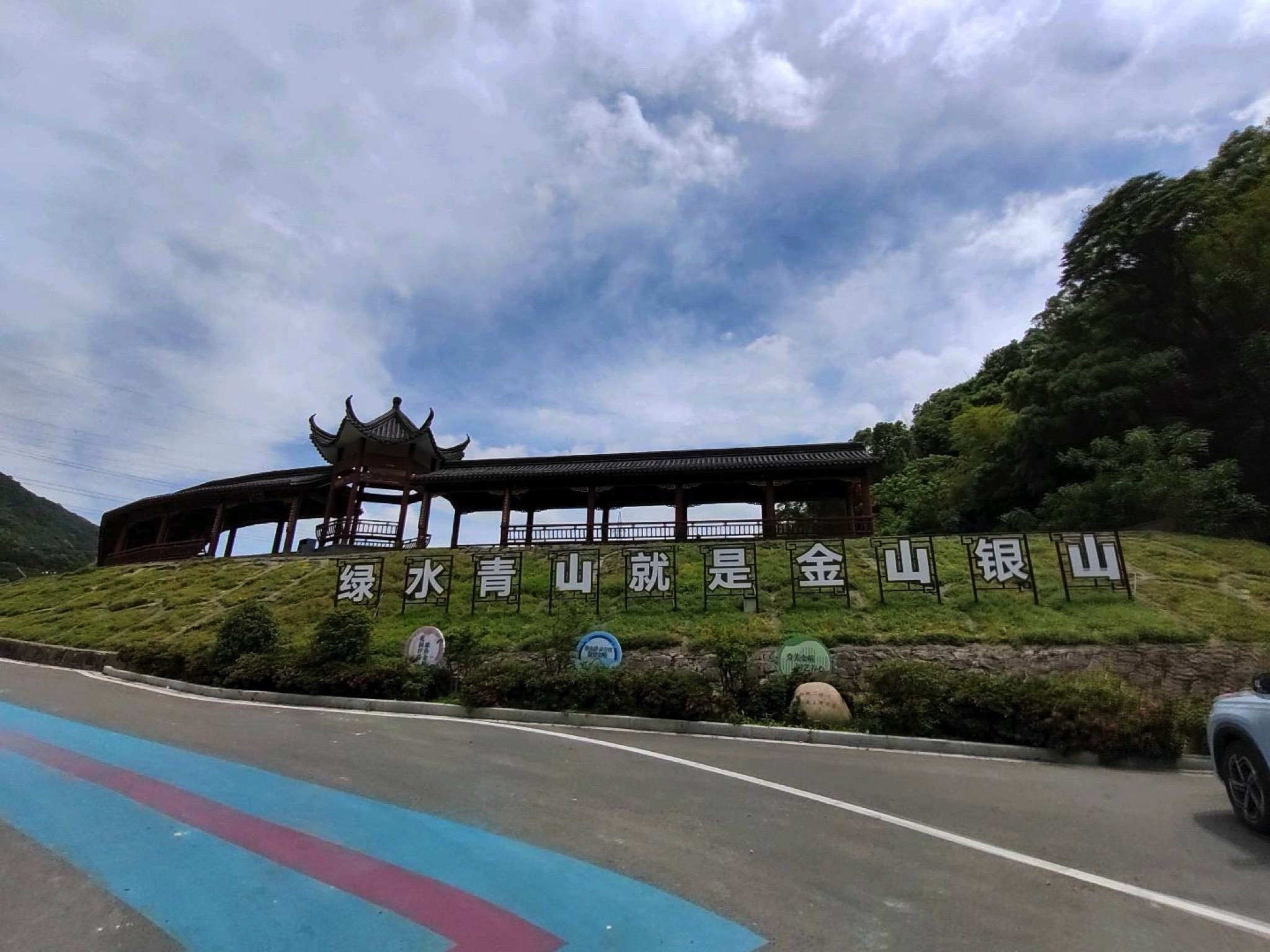 金峨山杜鹃林旅行图片 1