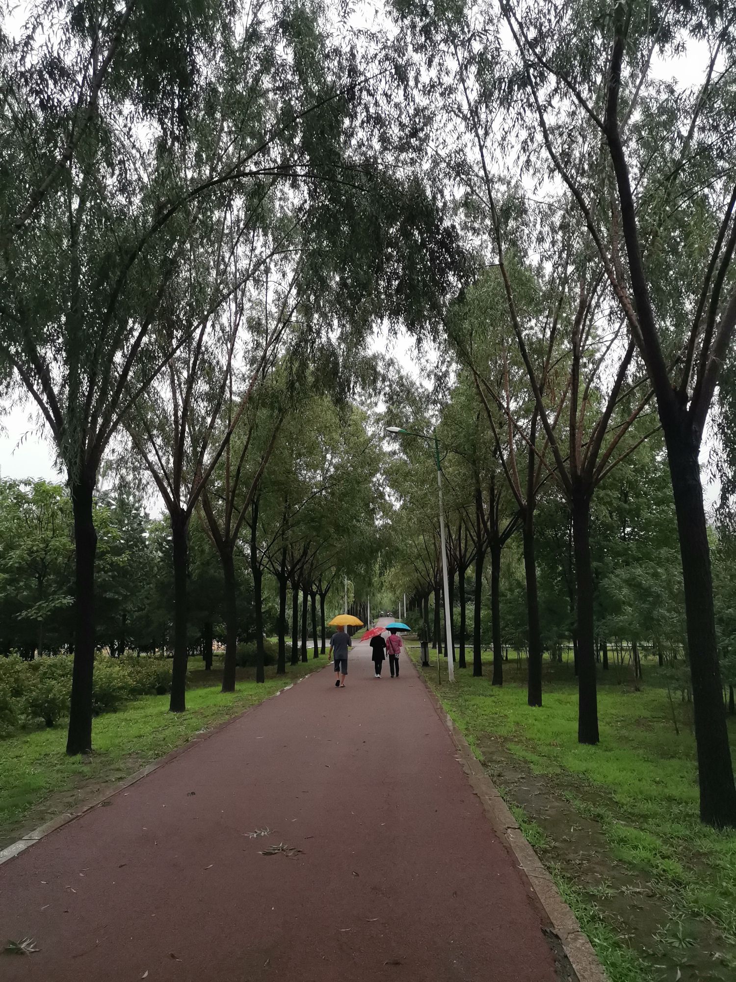 香清园旅行图片 1
