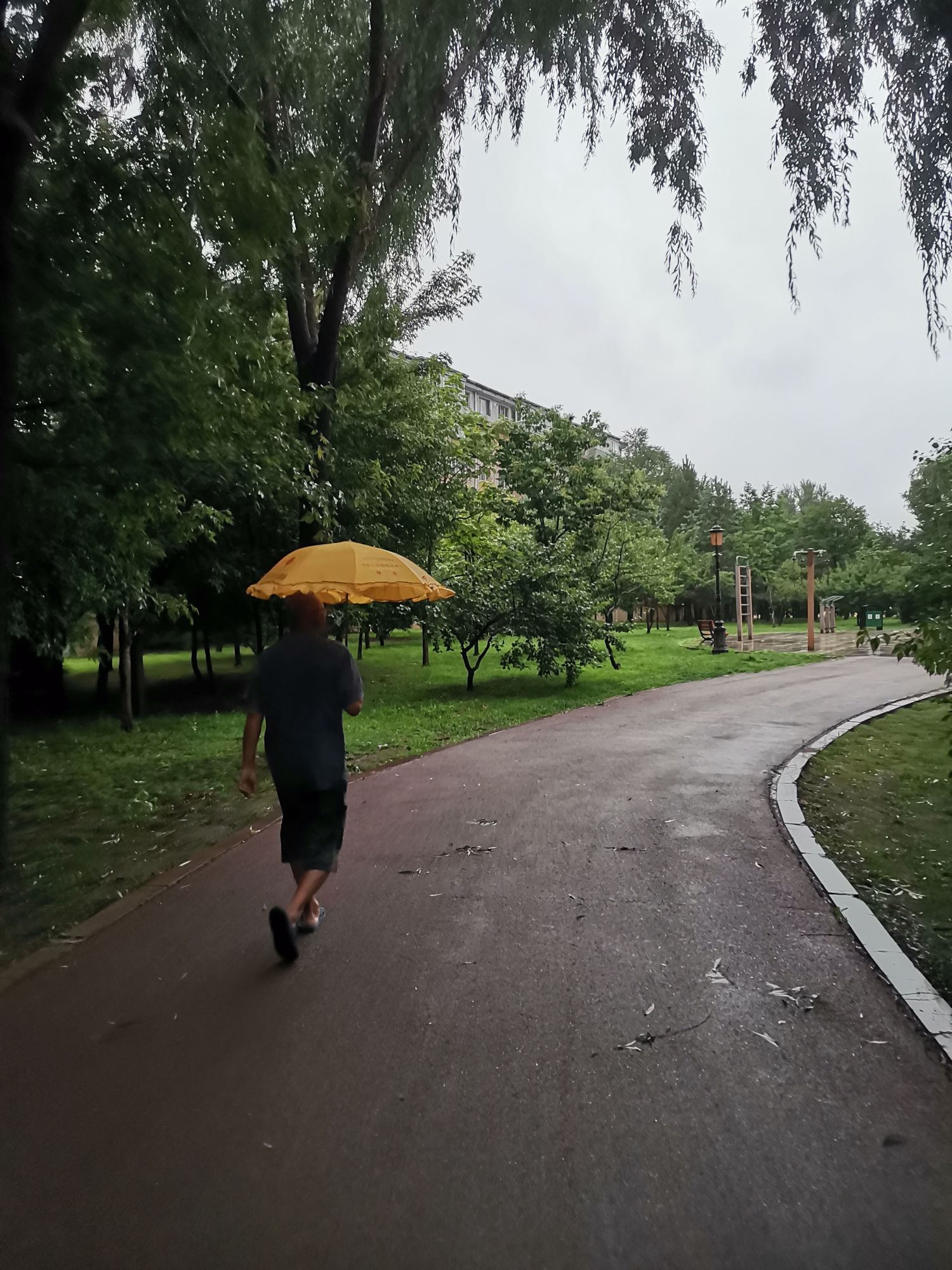 香清园旅行图片 3