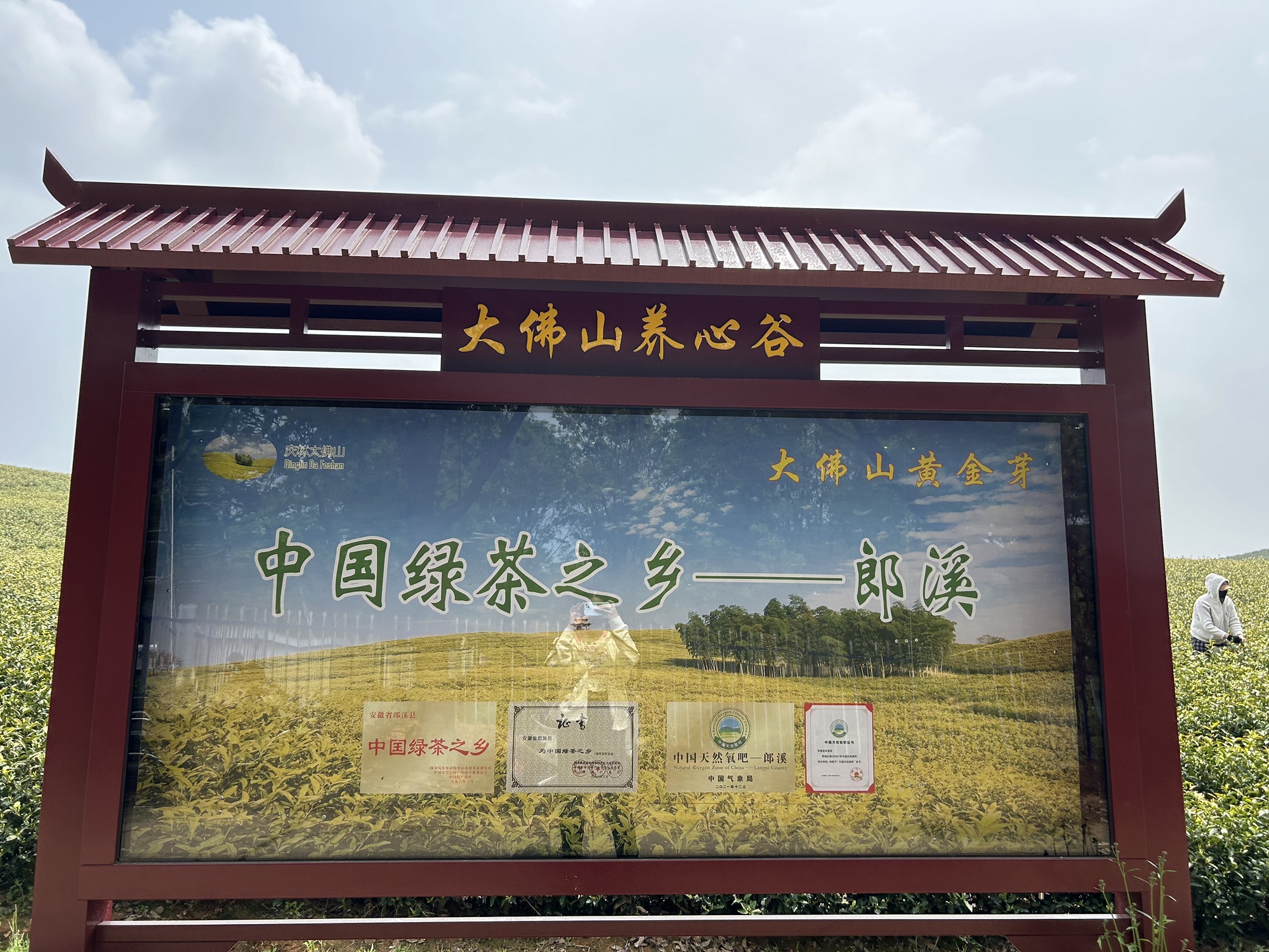 安徽郎溪大佛山养心谷旅行图片 1