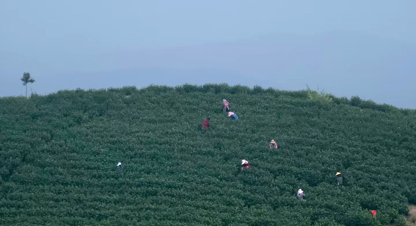 安徽郎溪大佛山养心谷旅行图片 3