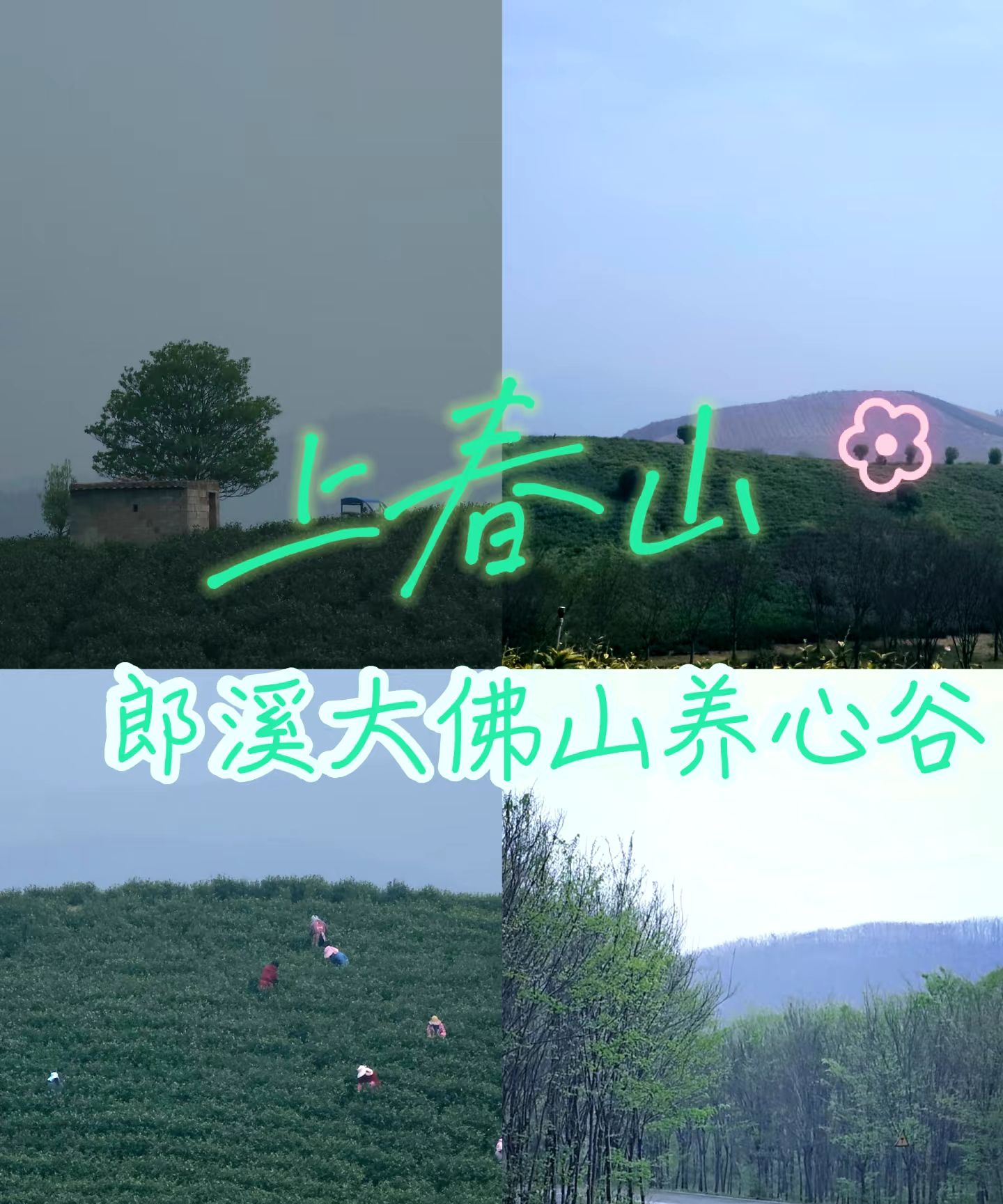 安徽郎溪大佛山养心谷旅行图片 1
