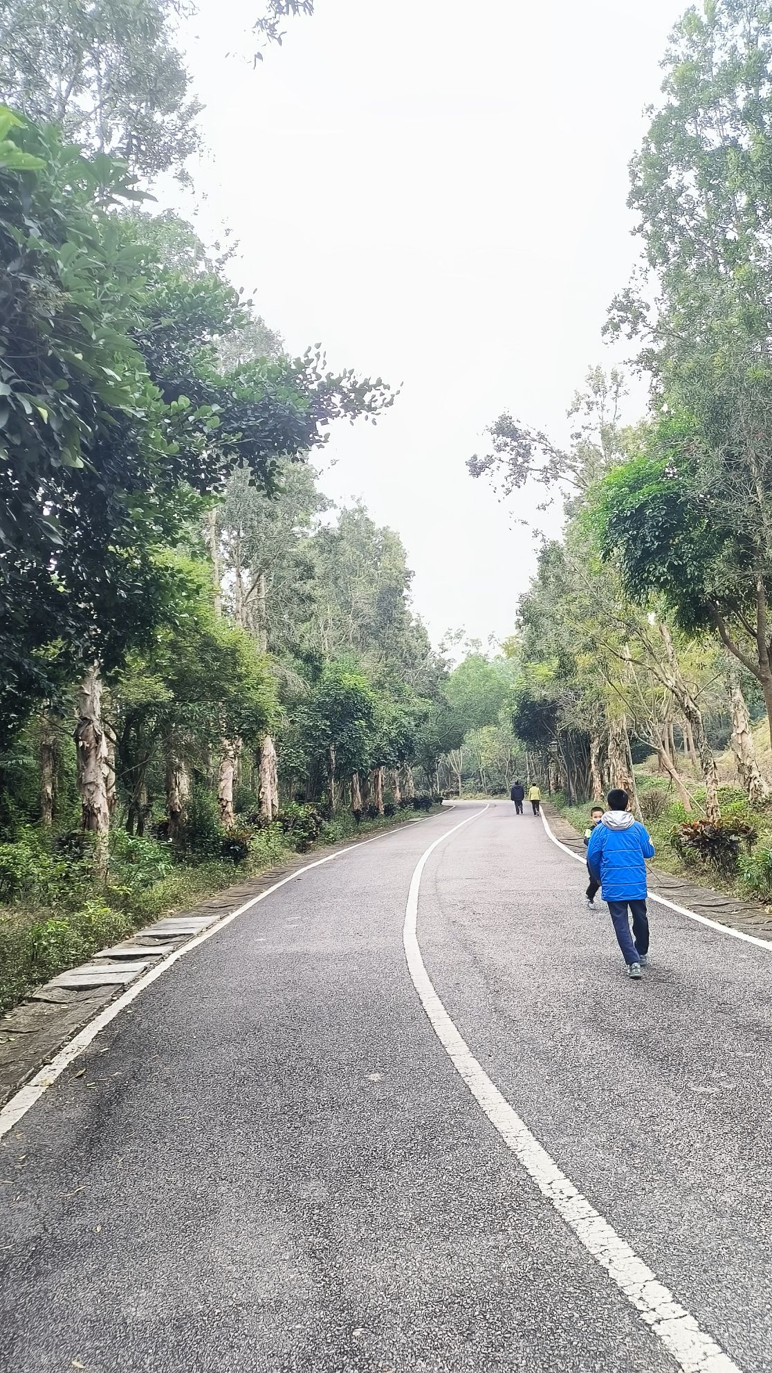 湛江市森林公园1号停车场