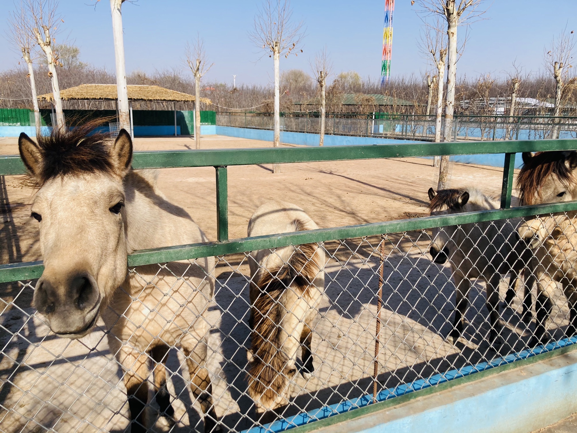 诸城市动物园旅行图片 1
