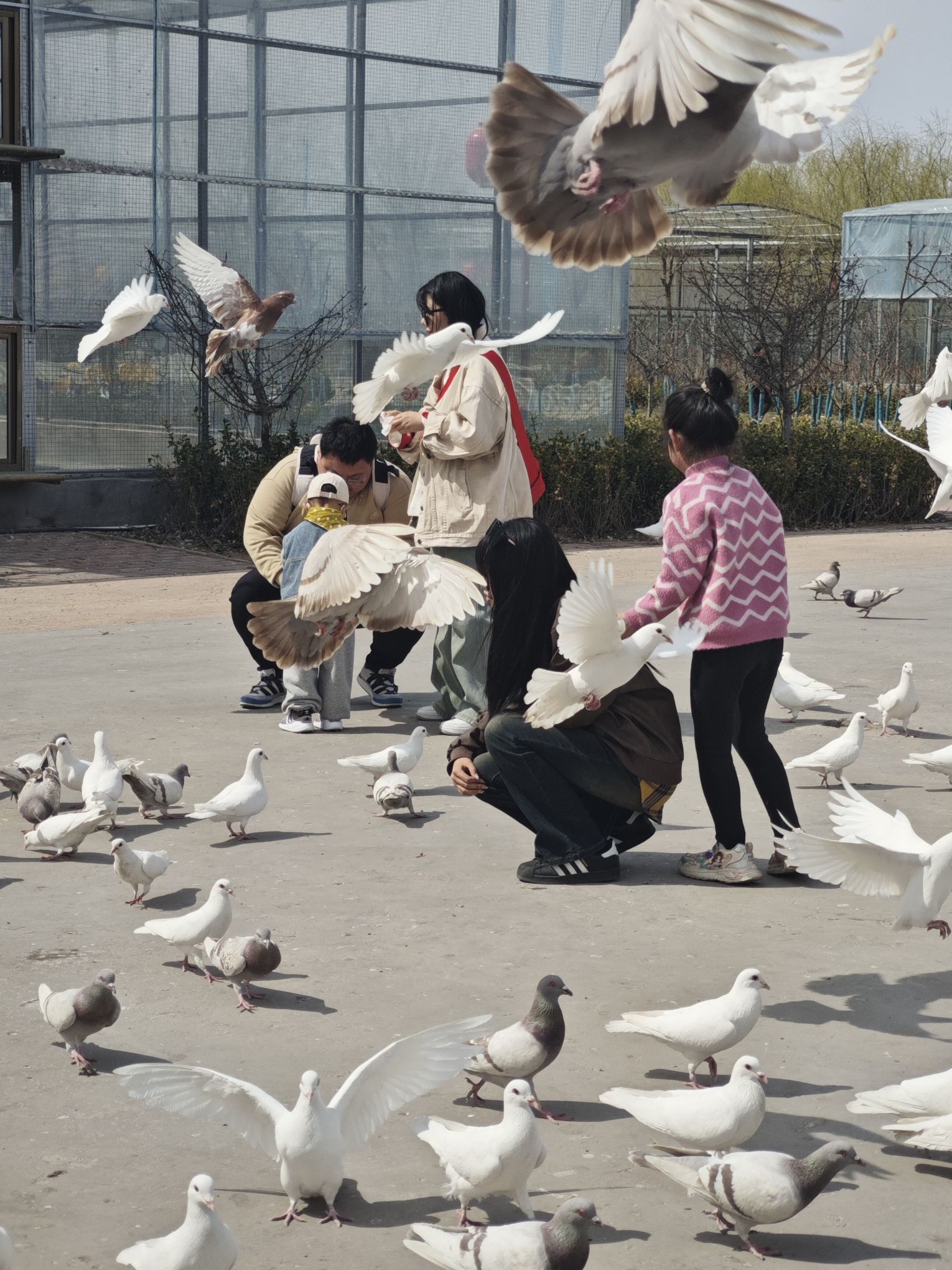 诸城市动物园旅行图片 3