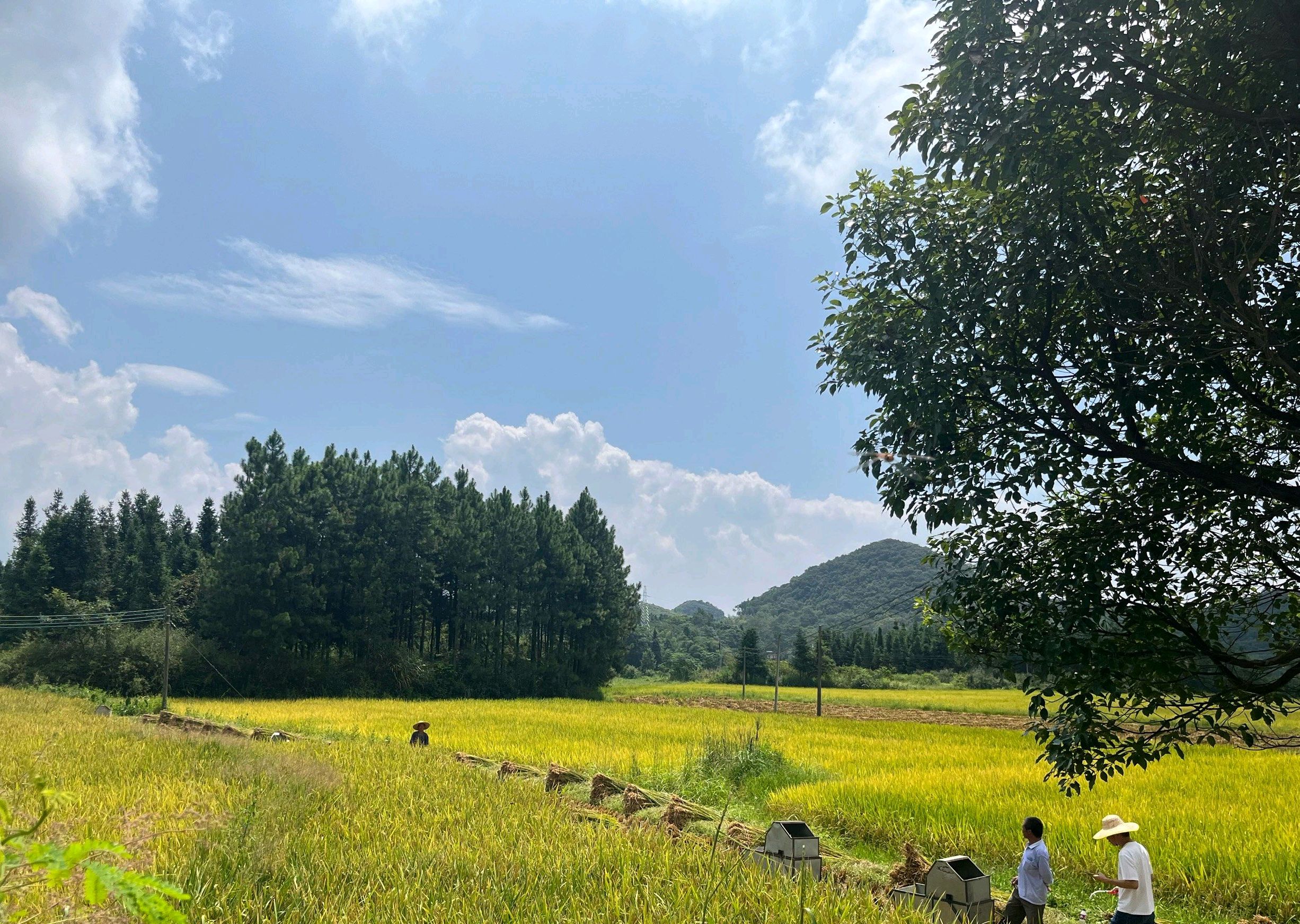 学发公祠旅行图片 3
