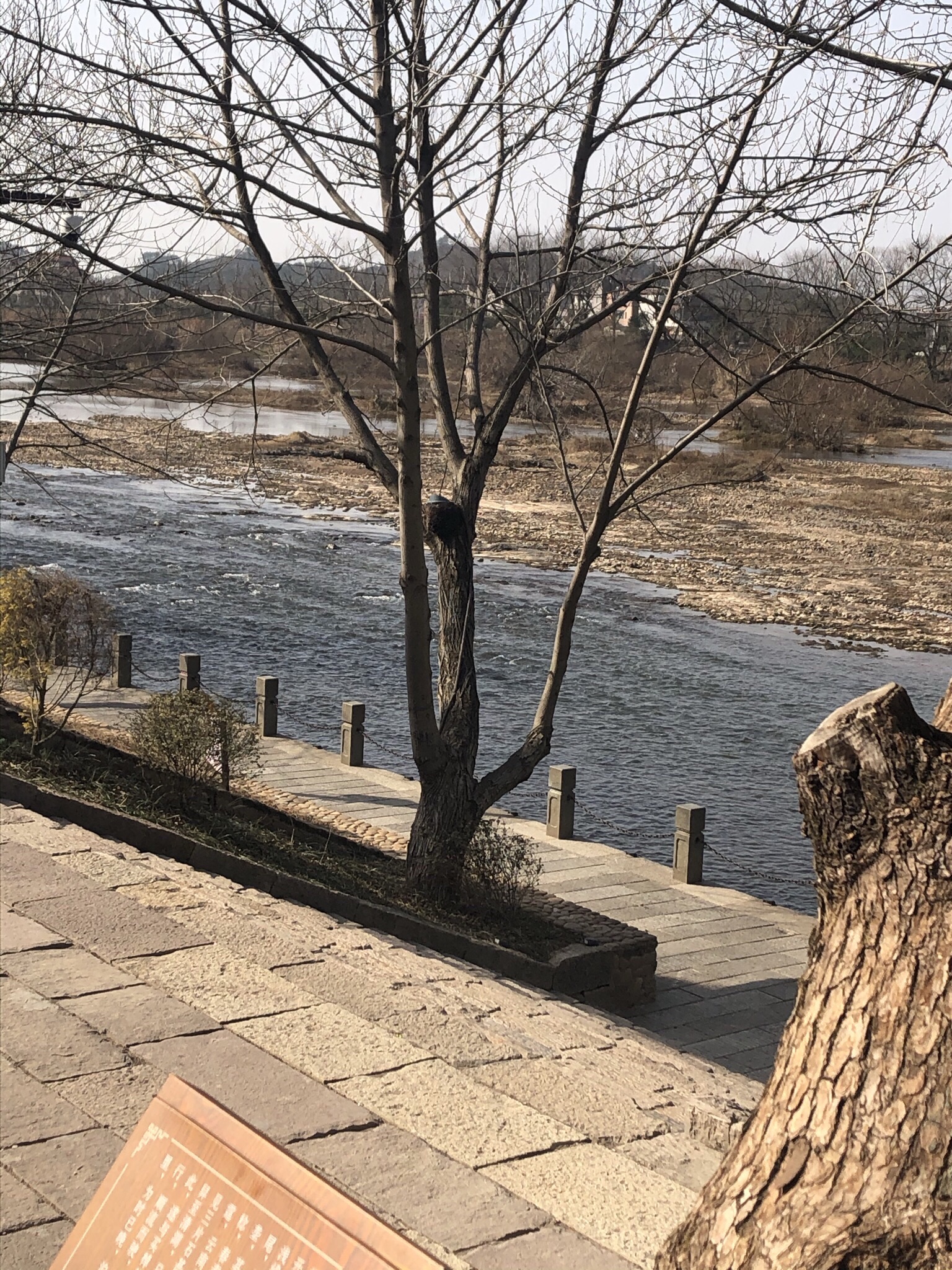 清湖古镇旅行图片 1