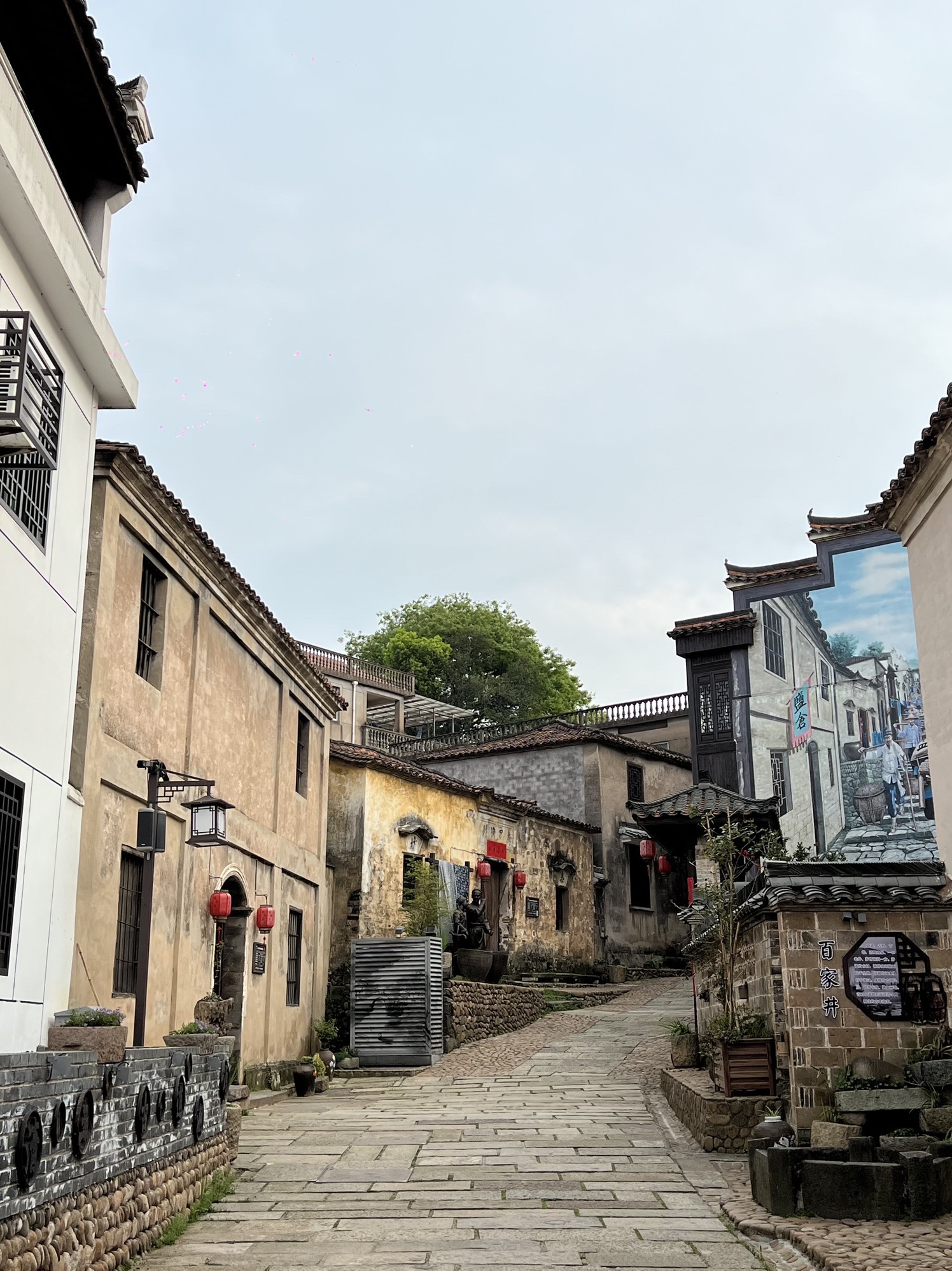 清湖古镇旅行图片 3