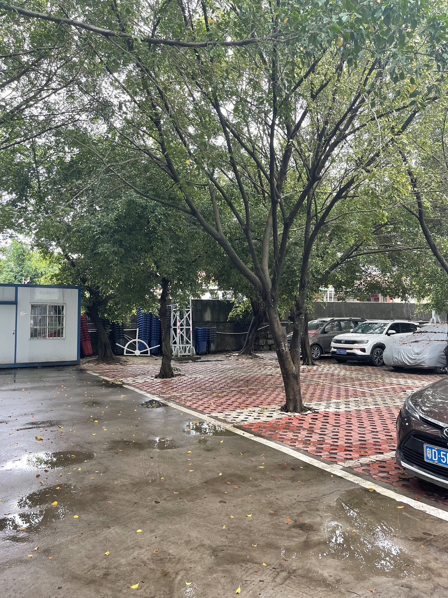 北溪洲公园旅行图片 1