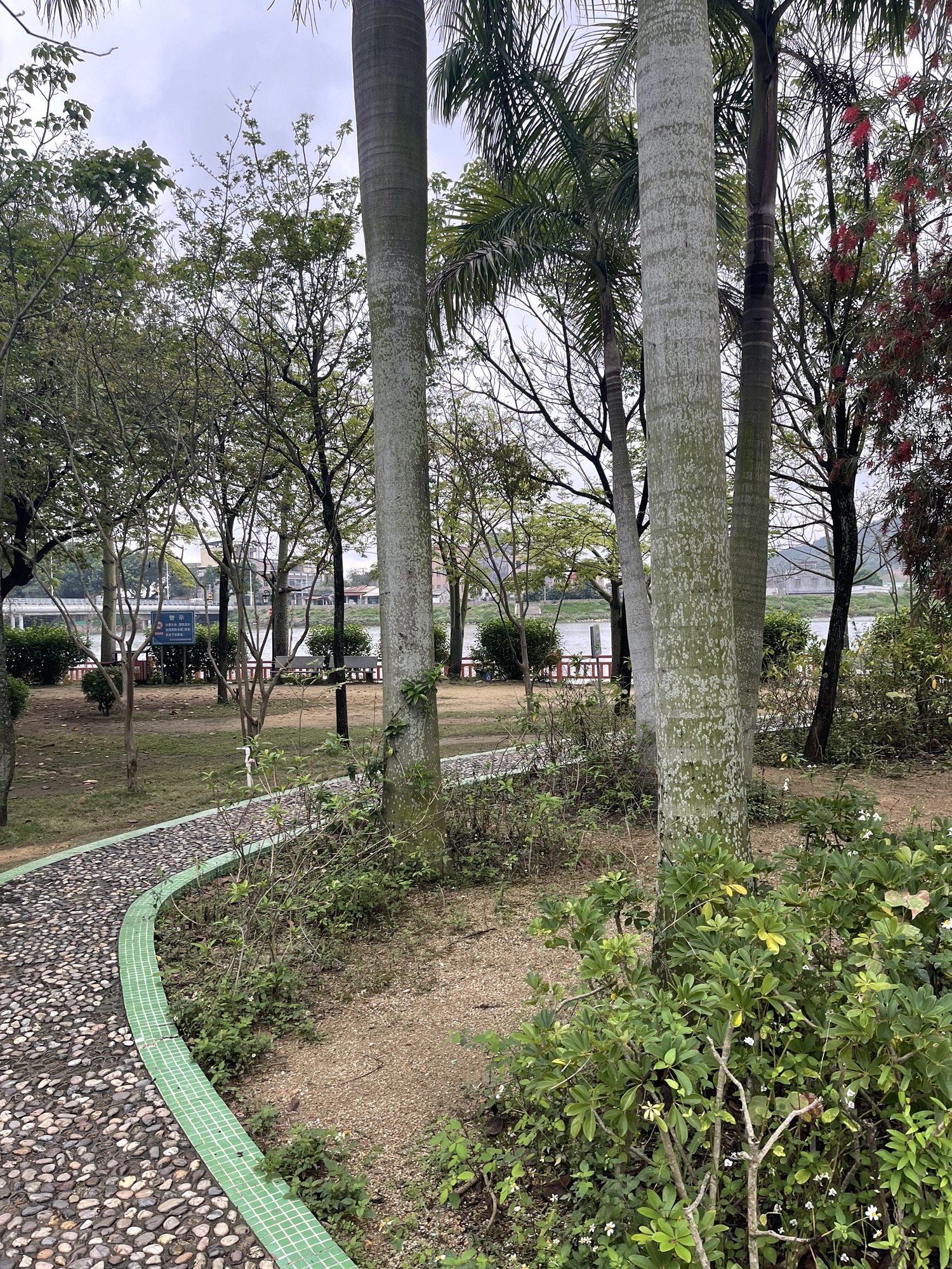 北溪洲公园旅行图片 3