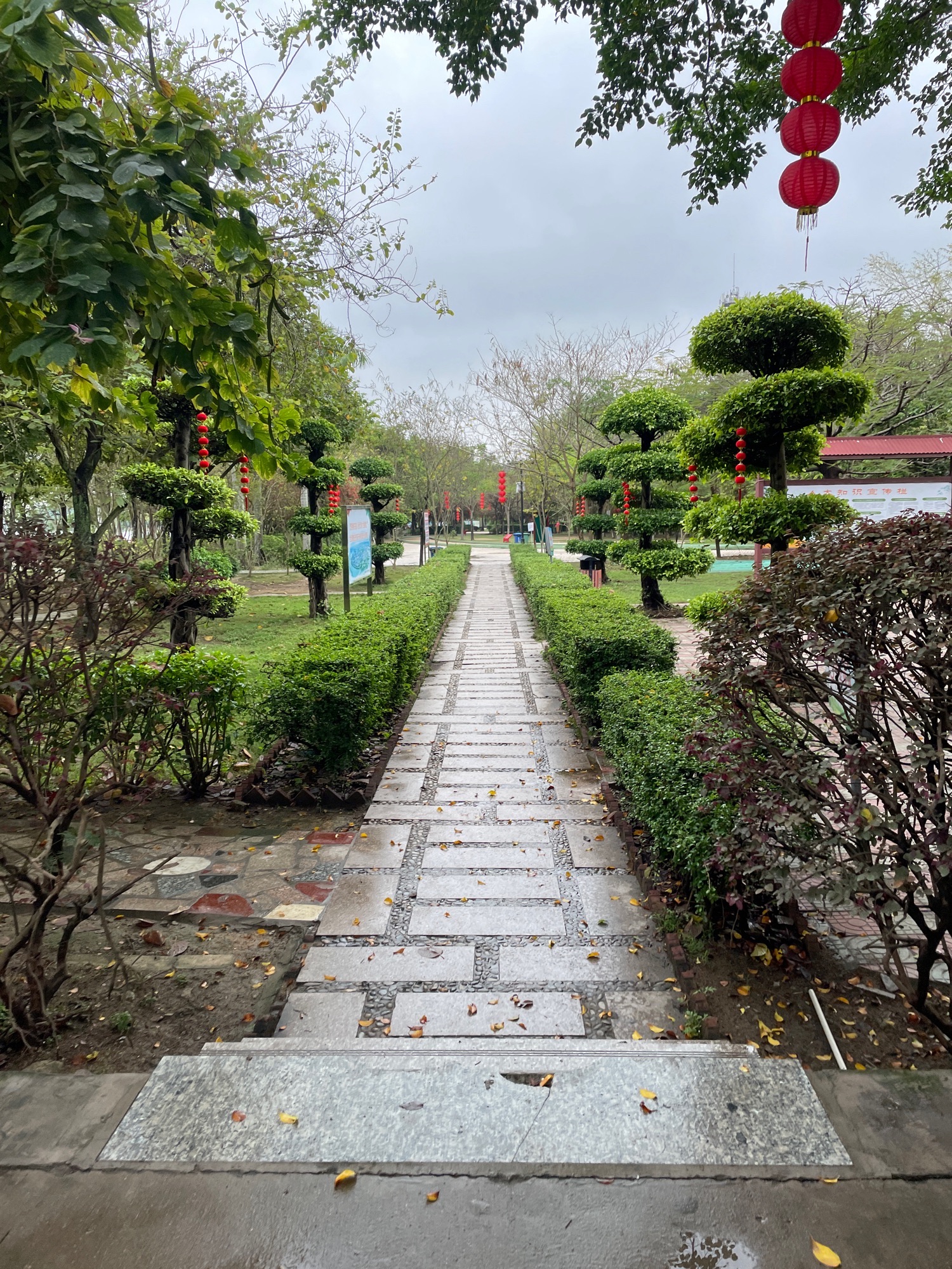 北溪洲公园旅行图片 1