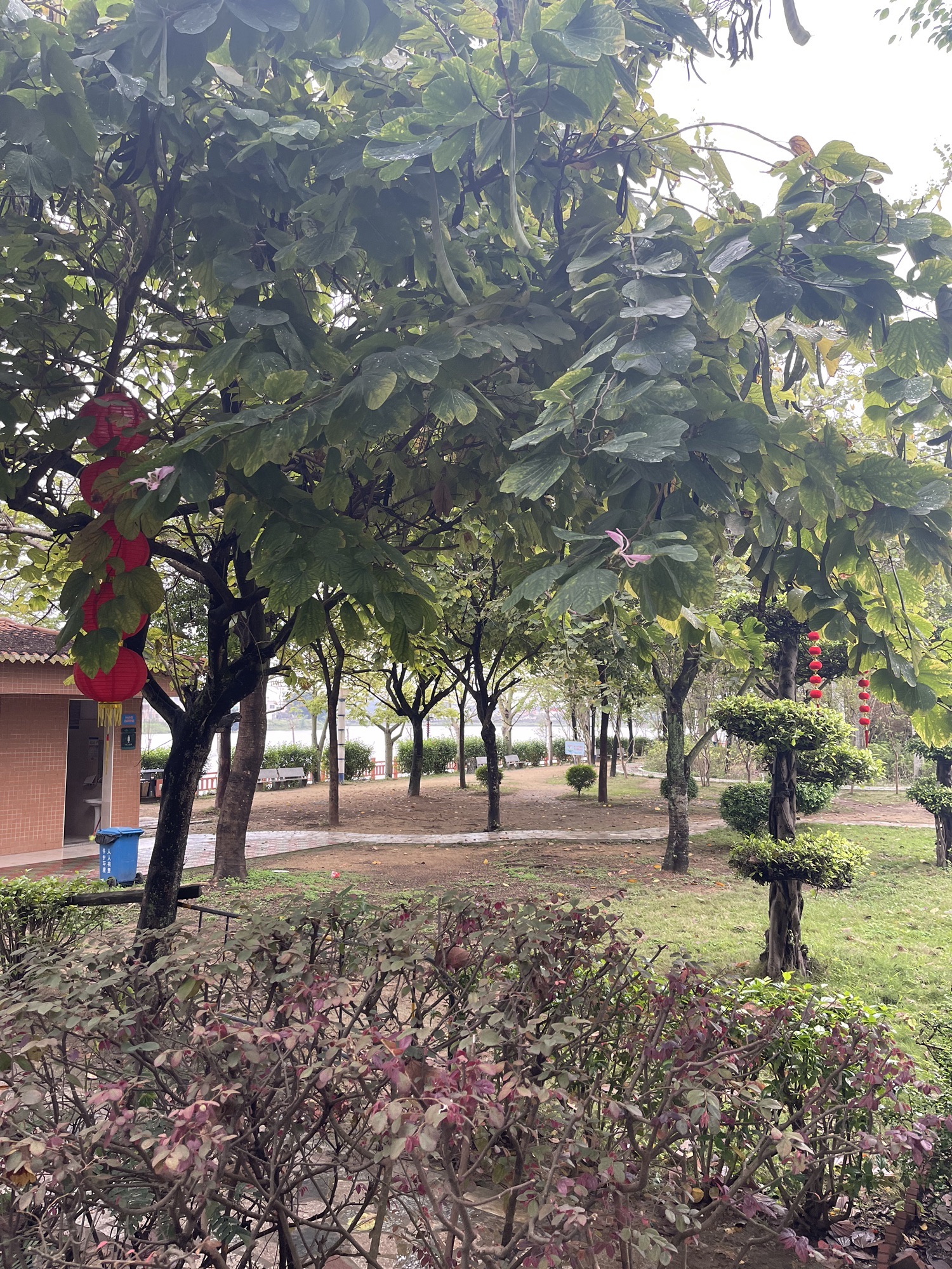 北溪洲公园旅行图片 2