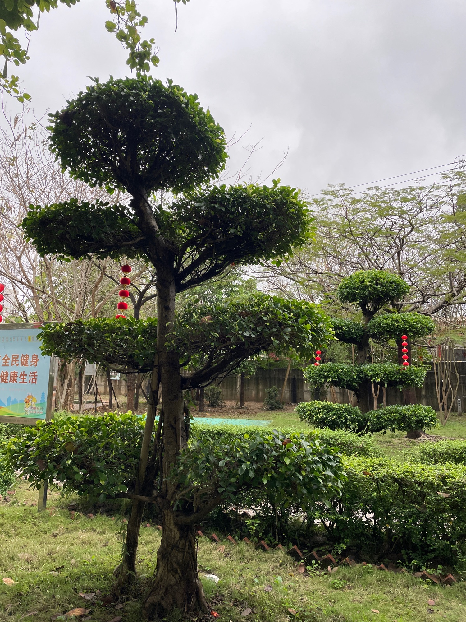 北溪洲公园旅行图片 3