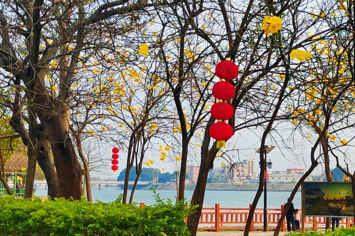 北溪洲公园旅行图片 3