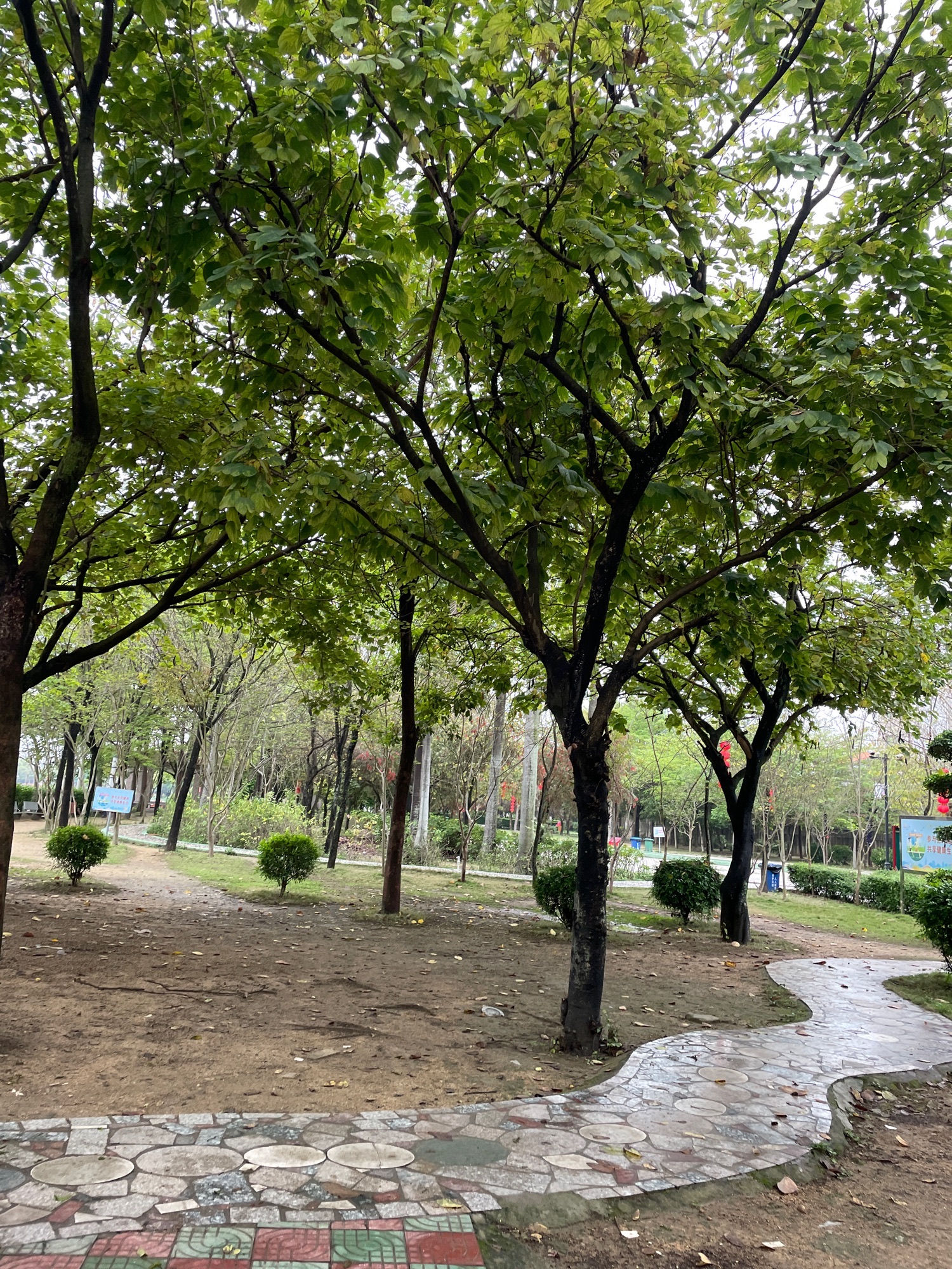 北溪洲公园旅行图片 2