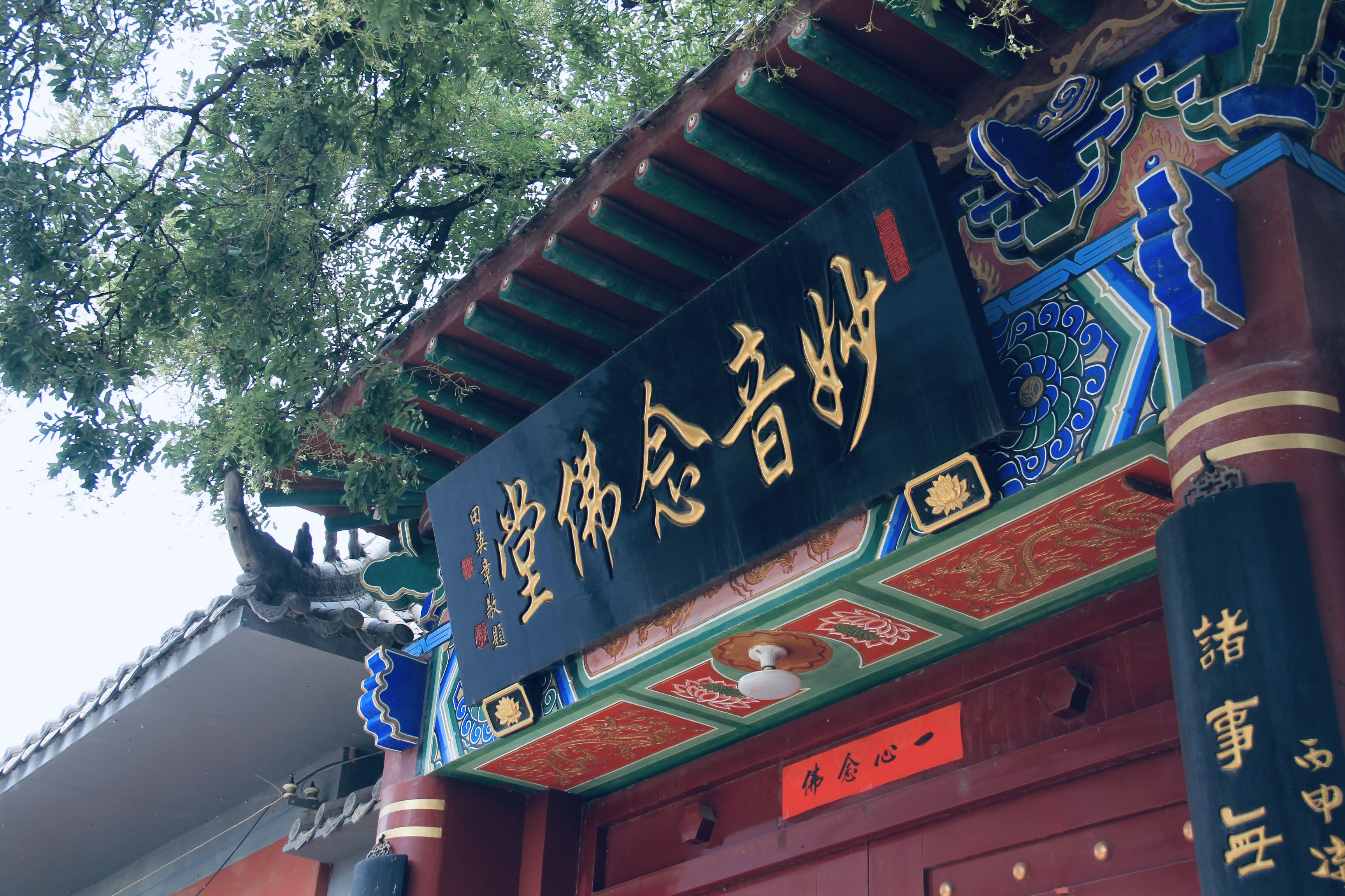 妙音念佛堂旅行图片 1