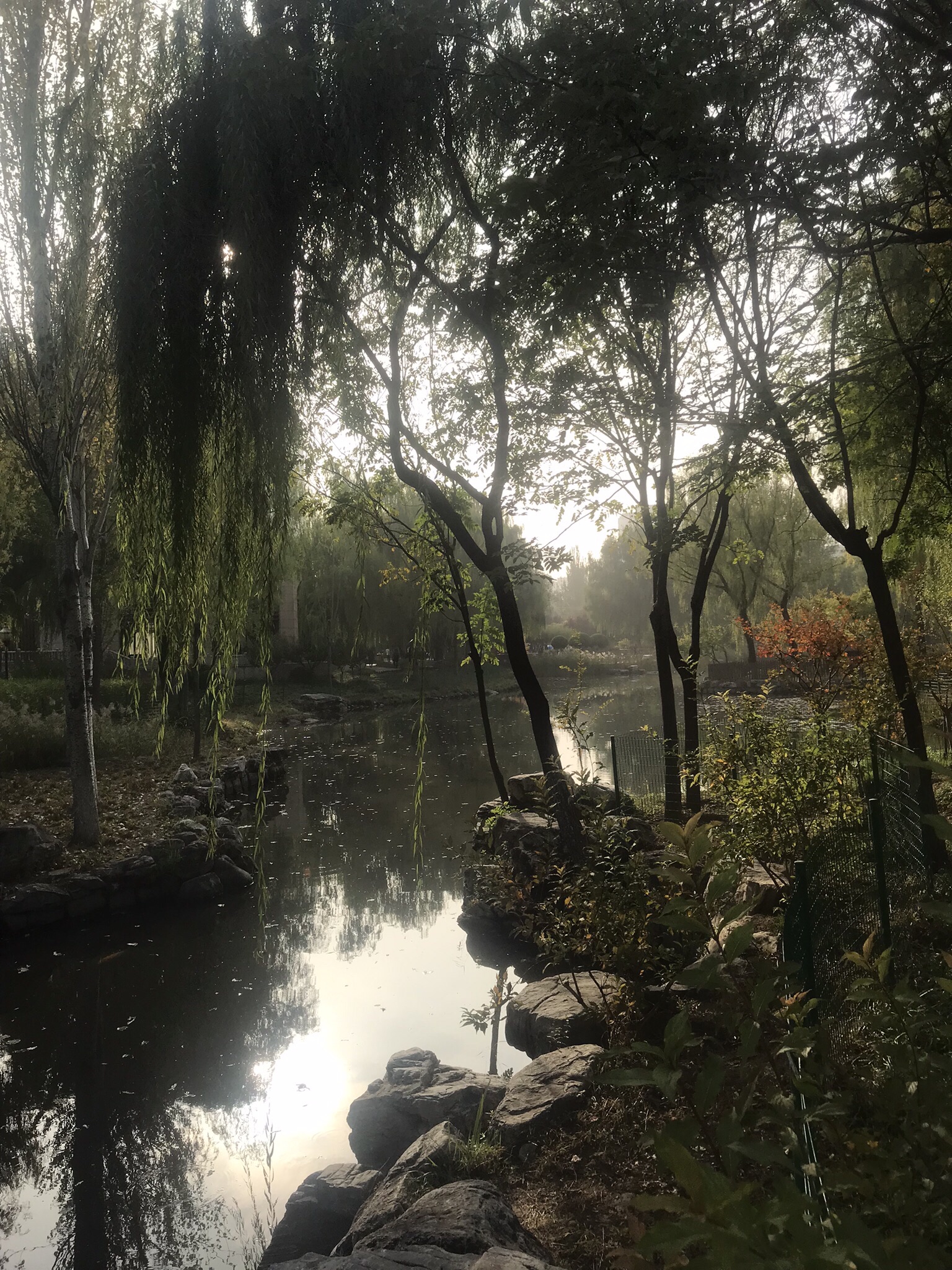 玫瑰里旅行图片 1