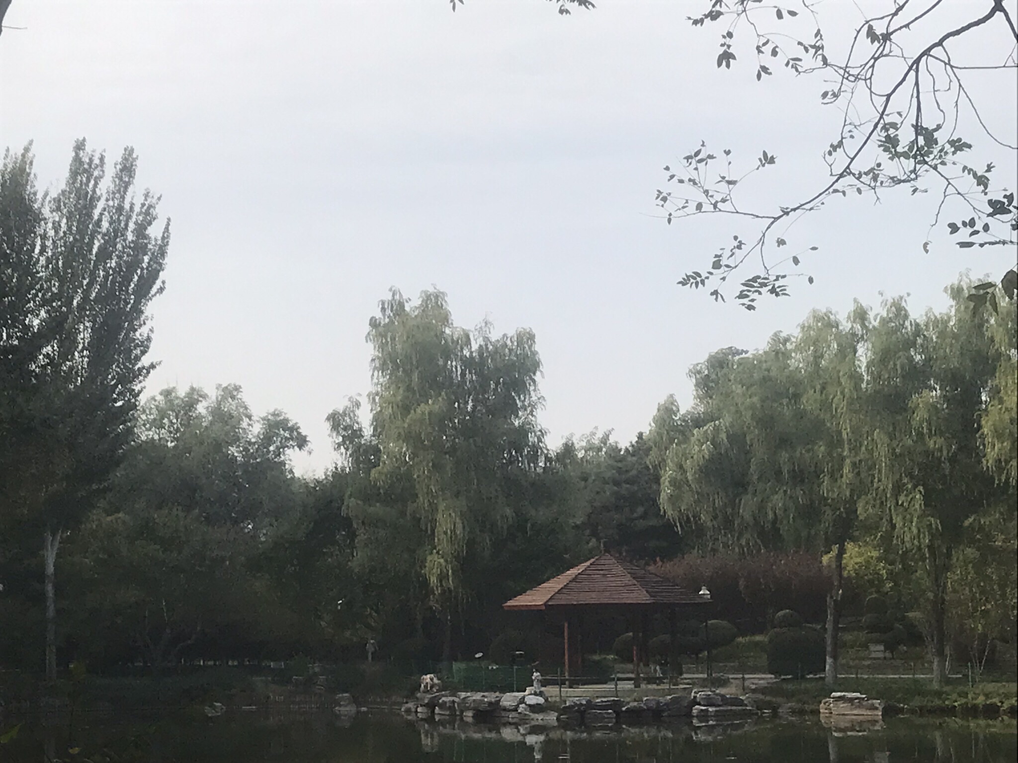 玫瑰里旅行图片 2