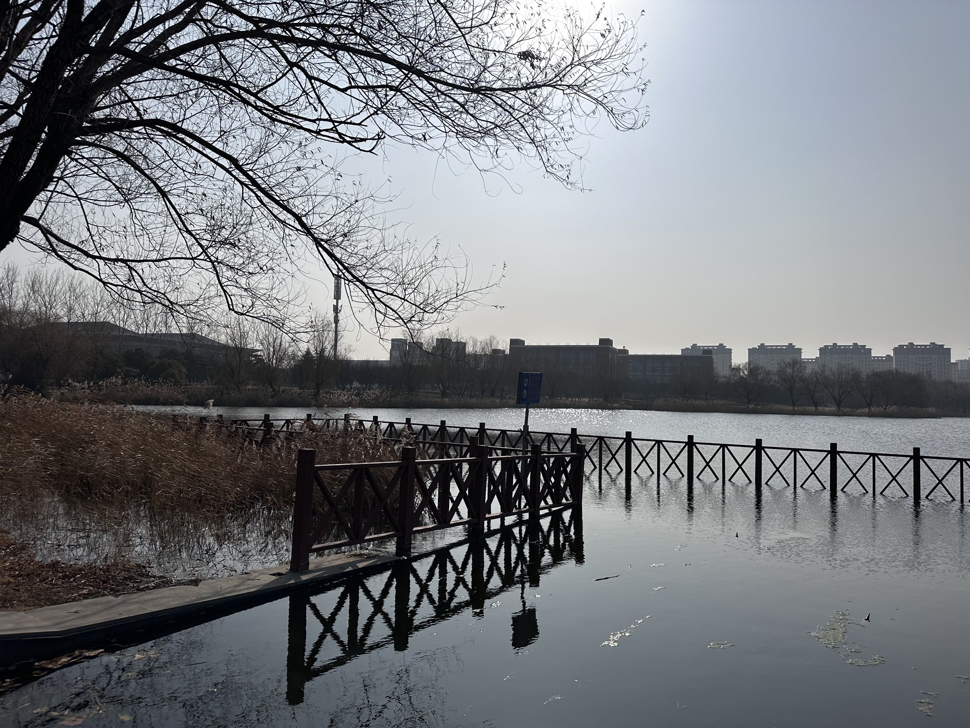 单县莱河公园旅行图片 2