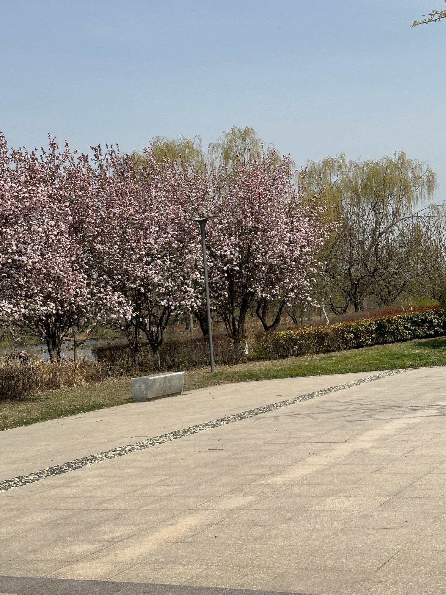 单县莱河公园旅行图片 2