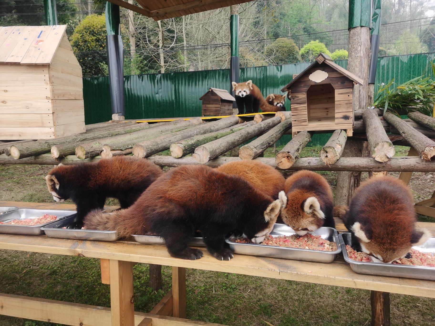 场地封面-三郎国际旅游度假区