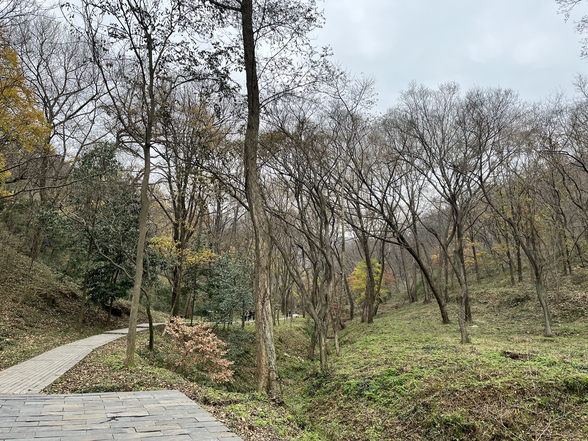 吴家大洼旅行图片 2