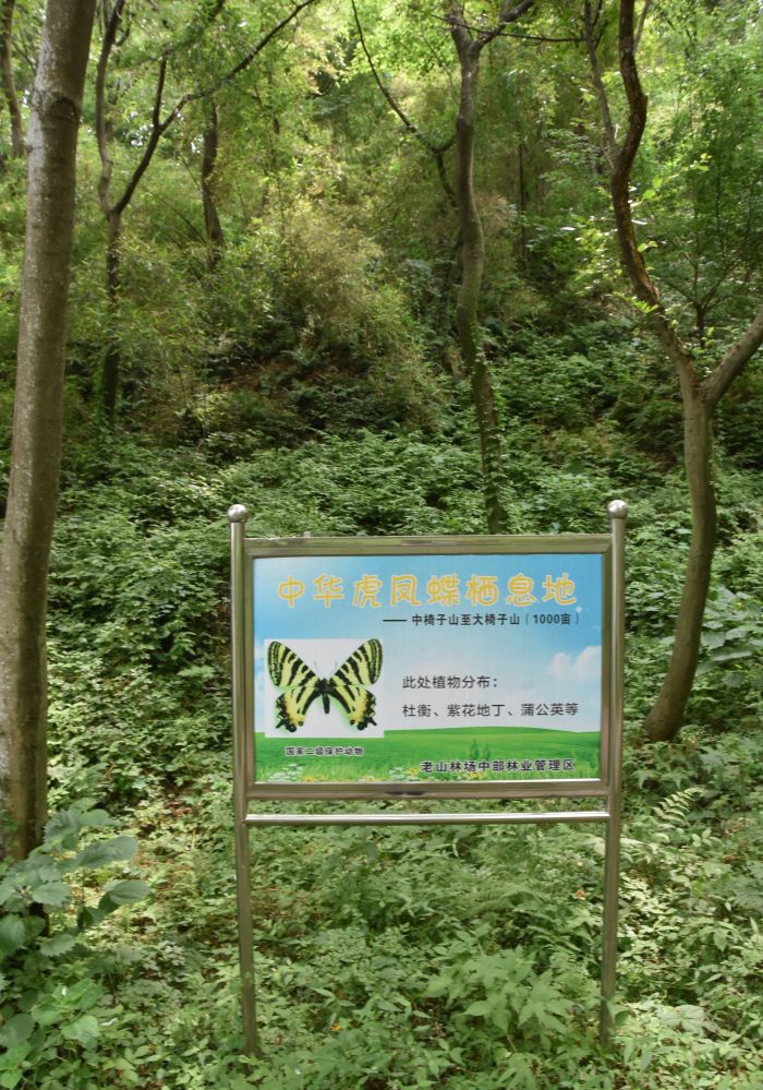 吴家大洼旅行图片 2