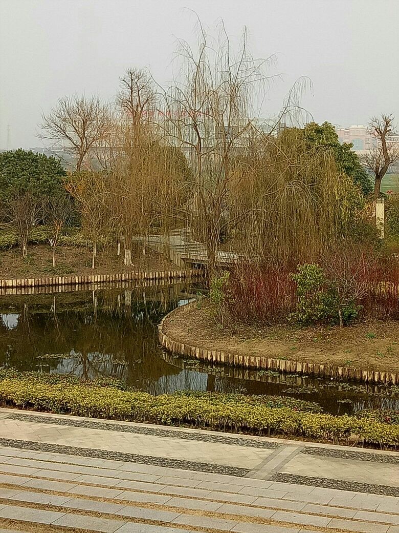 横林镇健康主题公园旅行图片 2