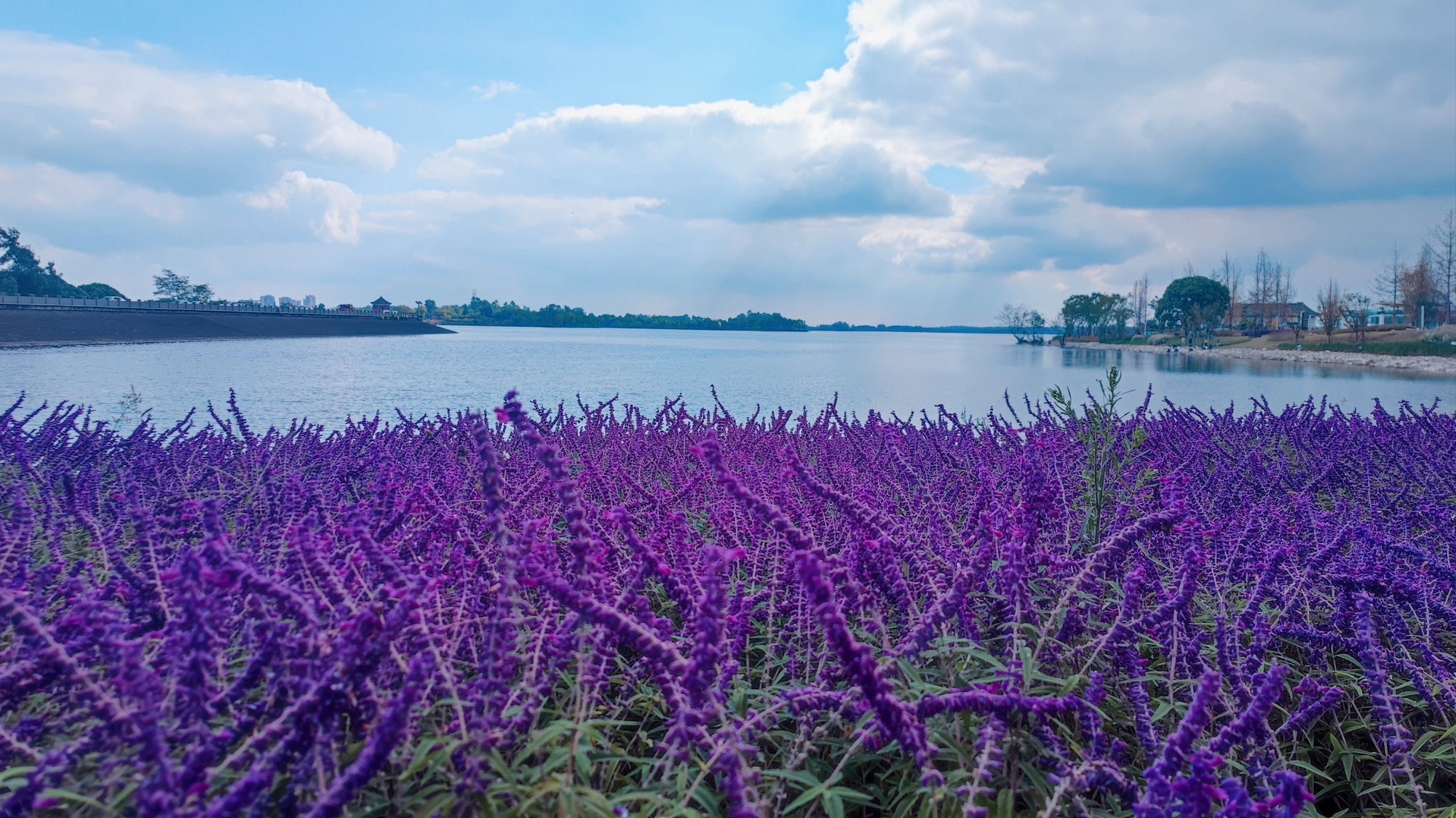场地封面-简阳三岔湖北湖半岛露营基地