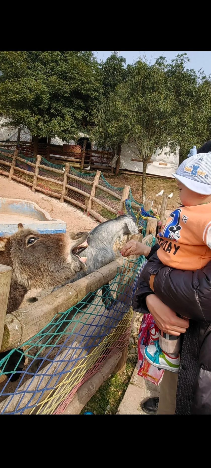 柠都乐园旅行图片 1