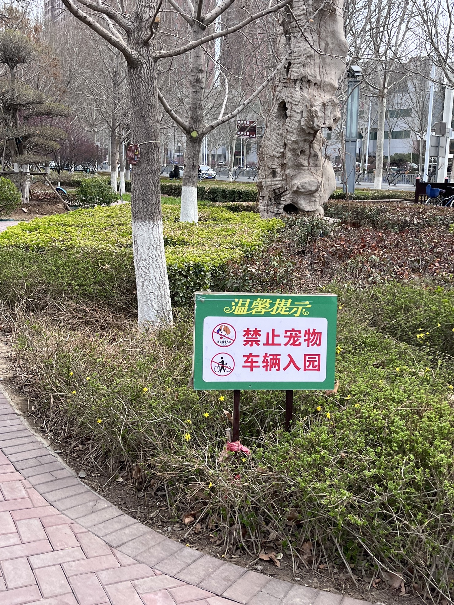 张店市民公园旅行图片 2