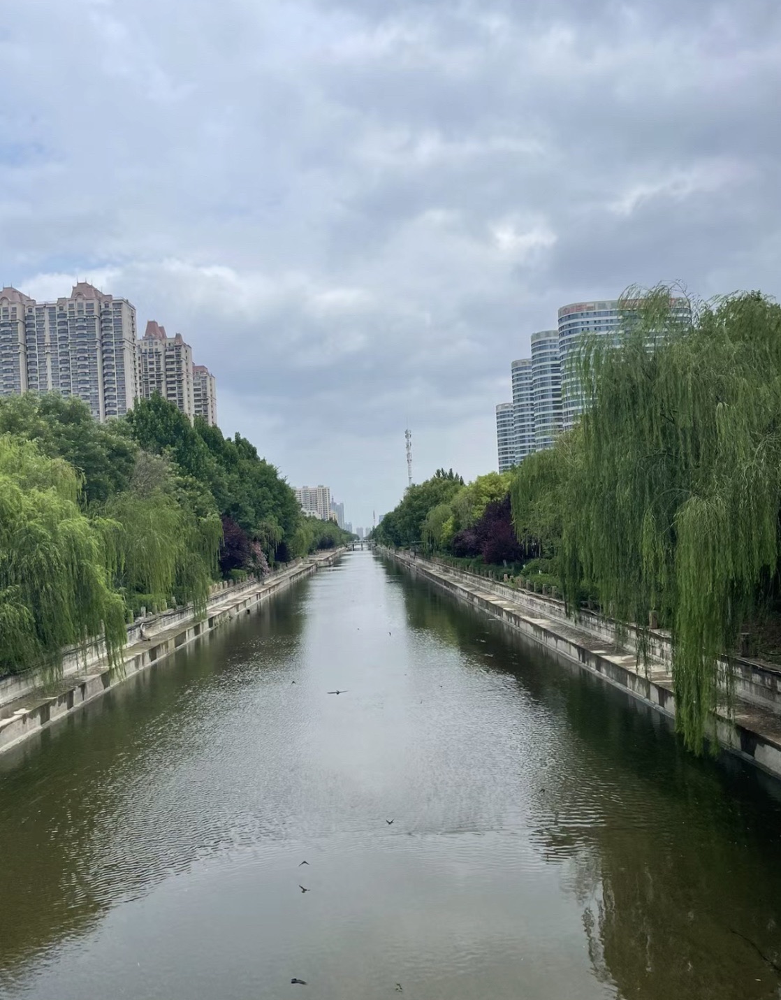 张店市民公园旅行图片 2