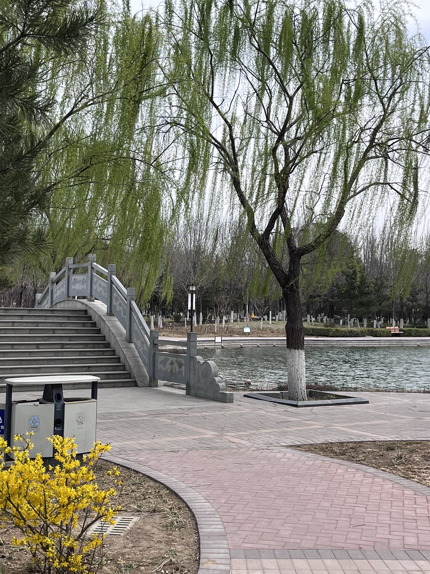 张店市民公园