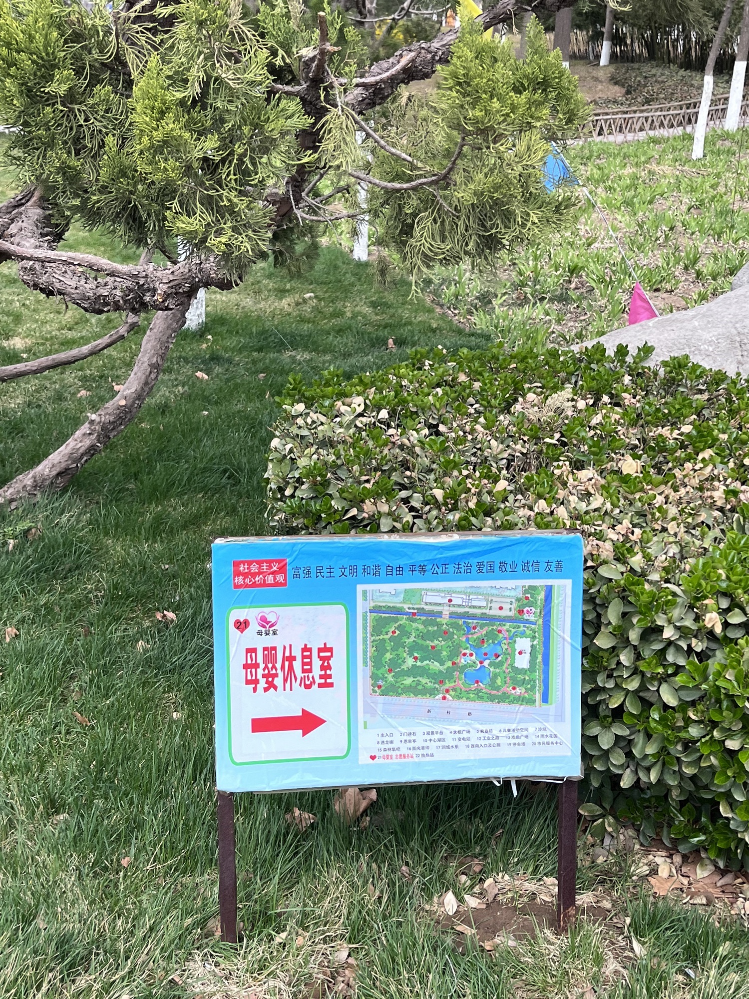 张店市民公园旅行图片 3