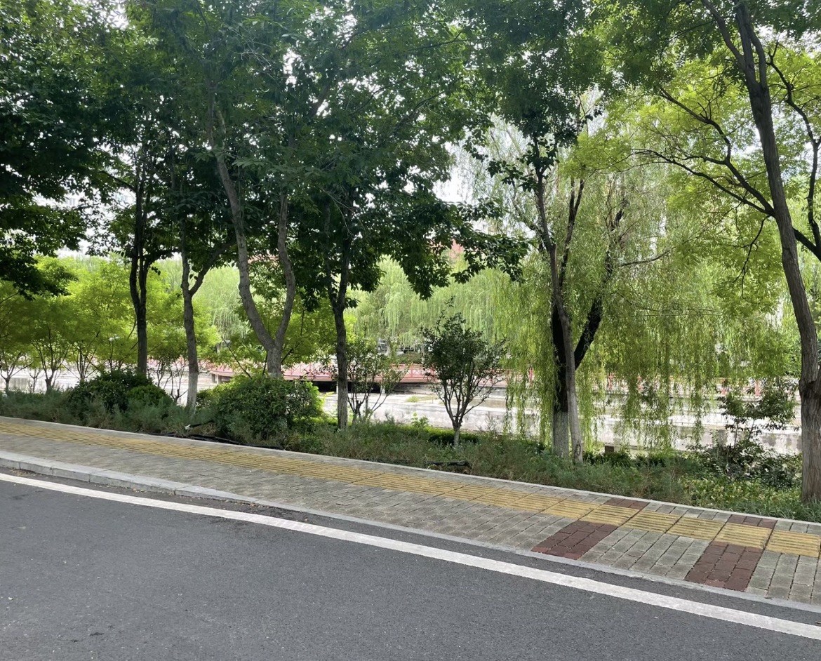 张店市民公园旅行图片 1